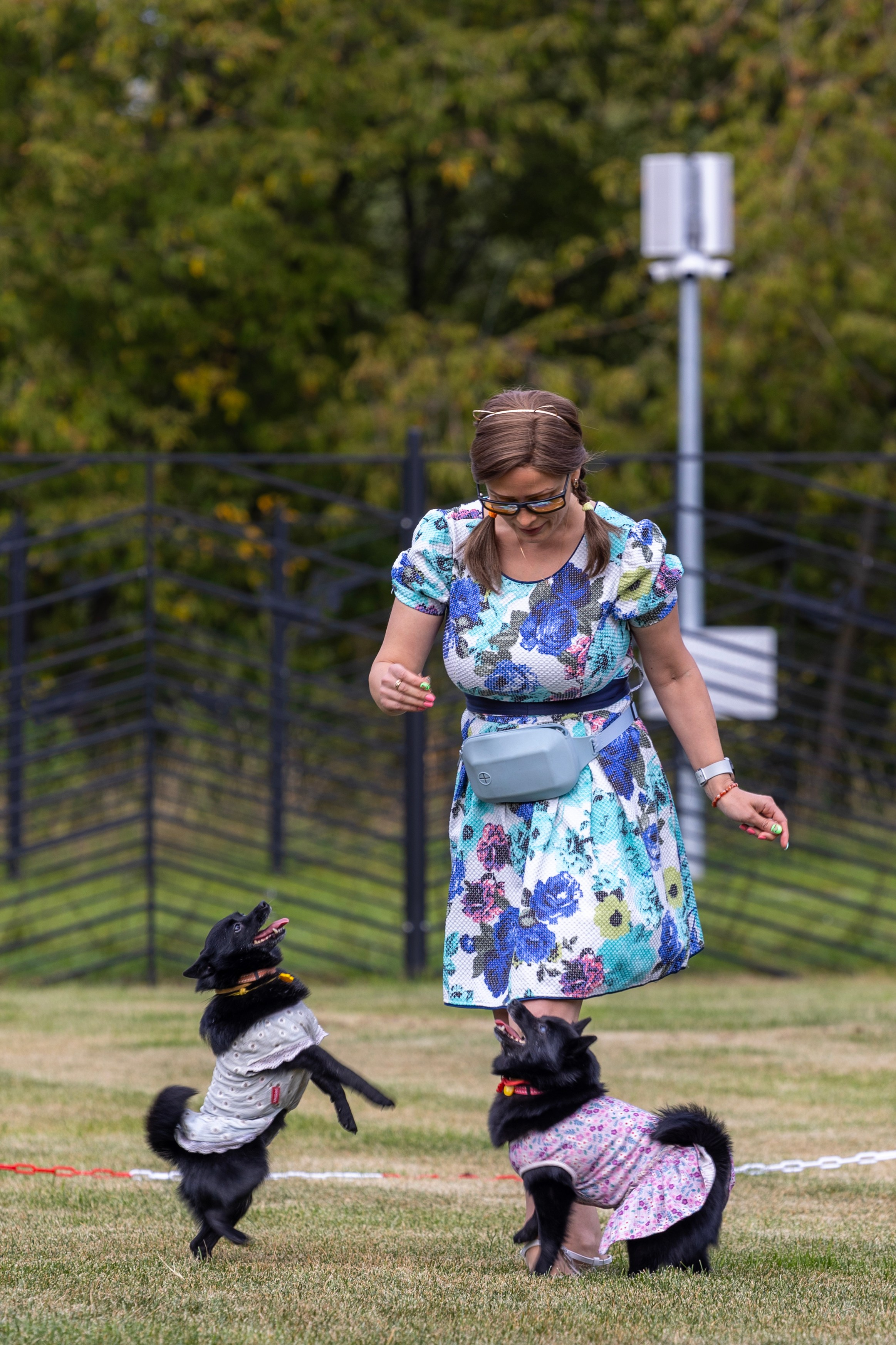 Съемка мероприятия: конкурс по танцам с собаками. Фотография. Юрий Савин