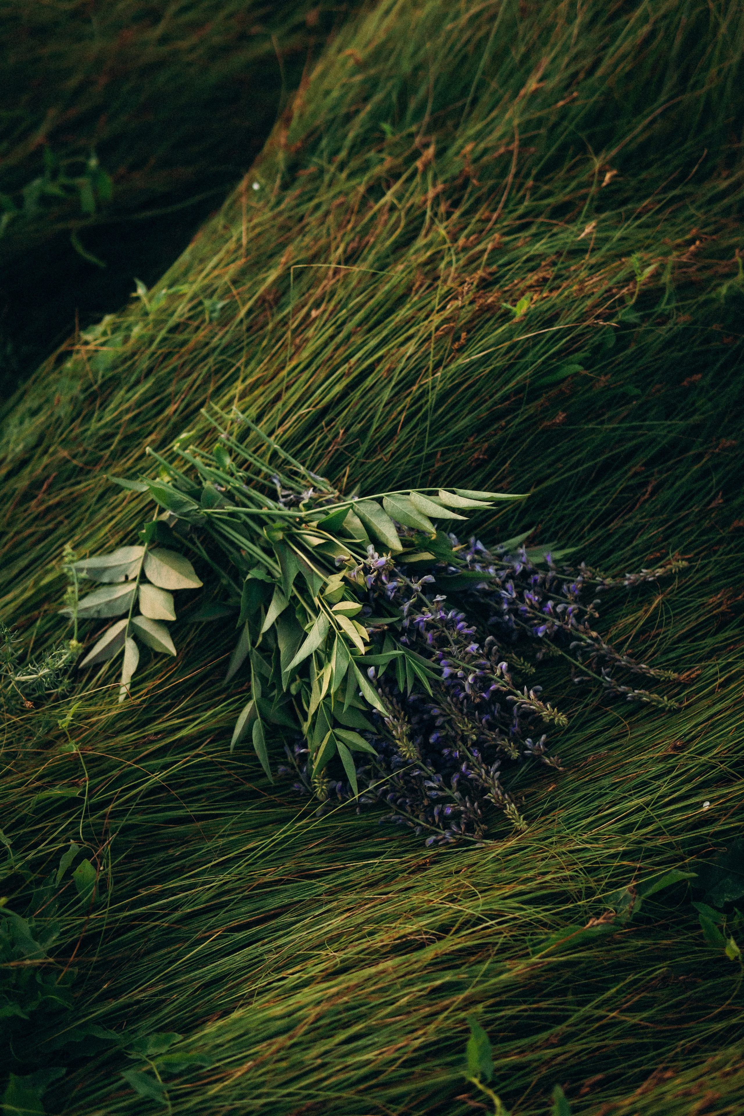 Lilit. Natalya Bondareva Photographу