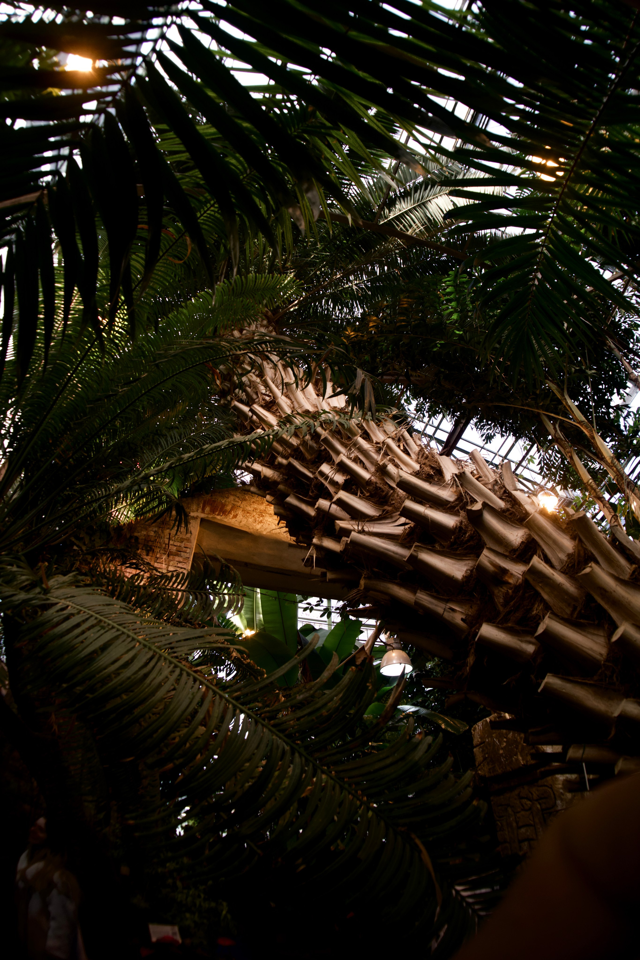 Аптекарский огород. Фотограф-любитель из Кирова Андрей Погребняк