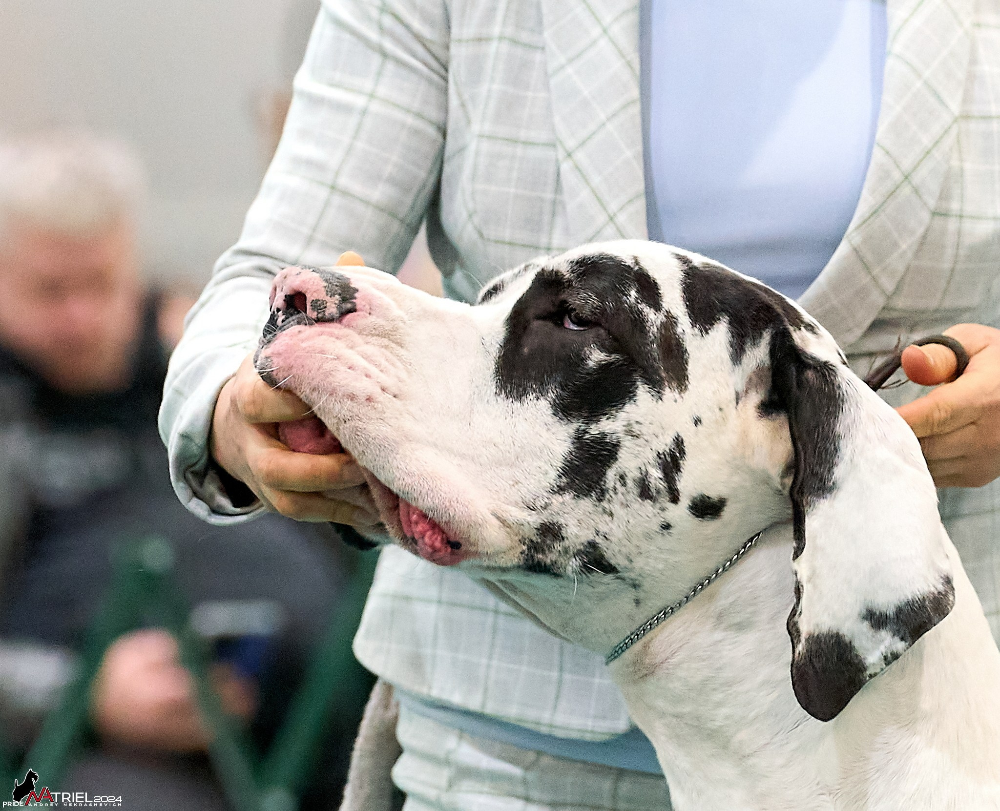 Съемка на выставке в Крокусе