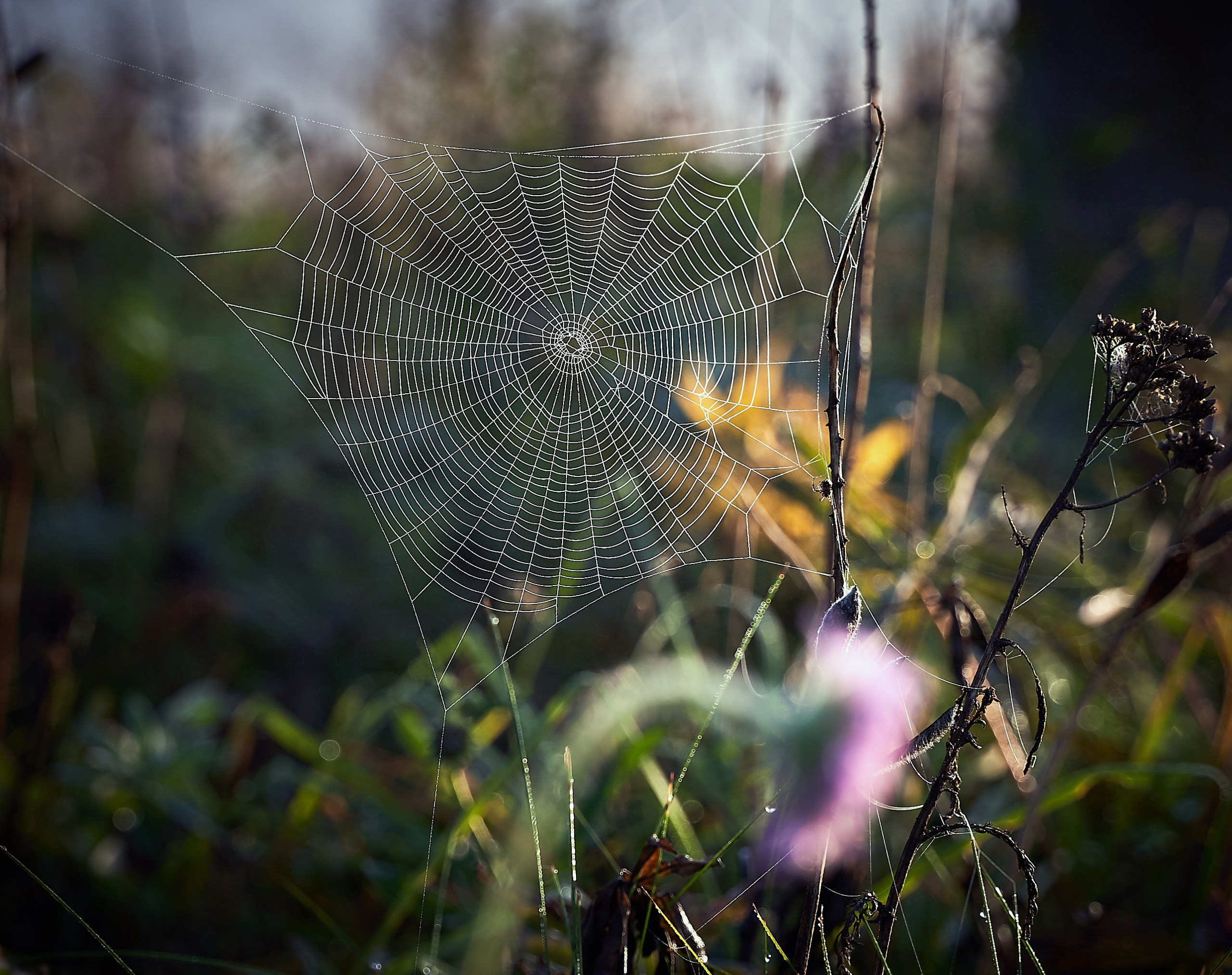 Пейзаж — галерея NATRIEL