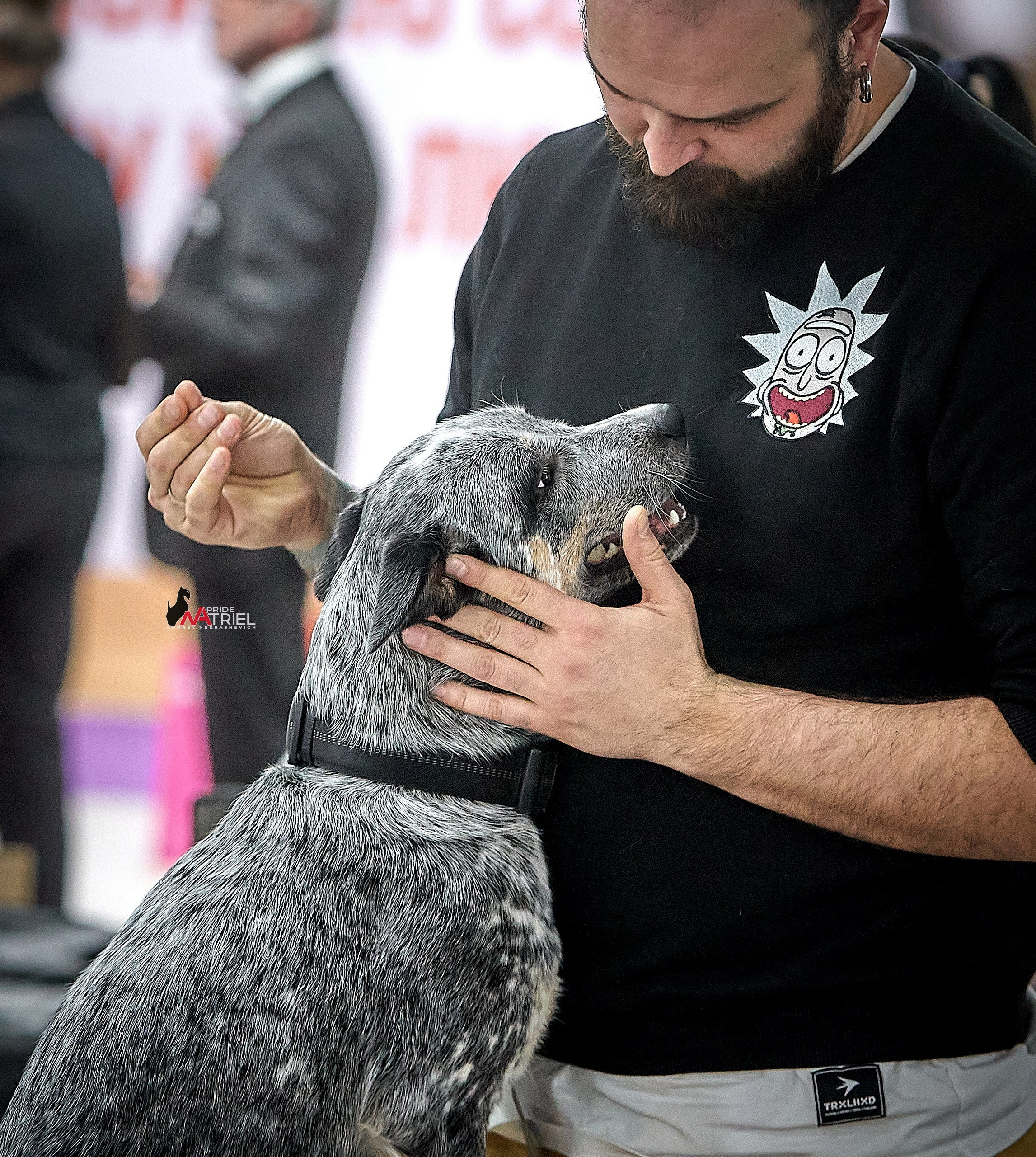 Собаки и Люди — галерея NATRIEL