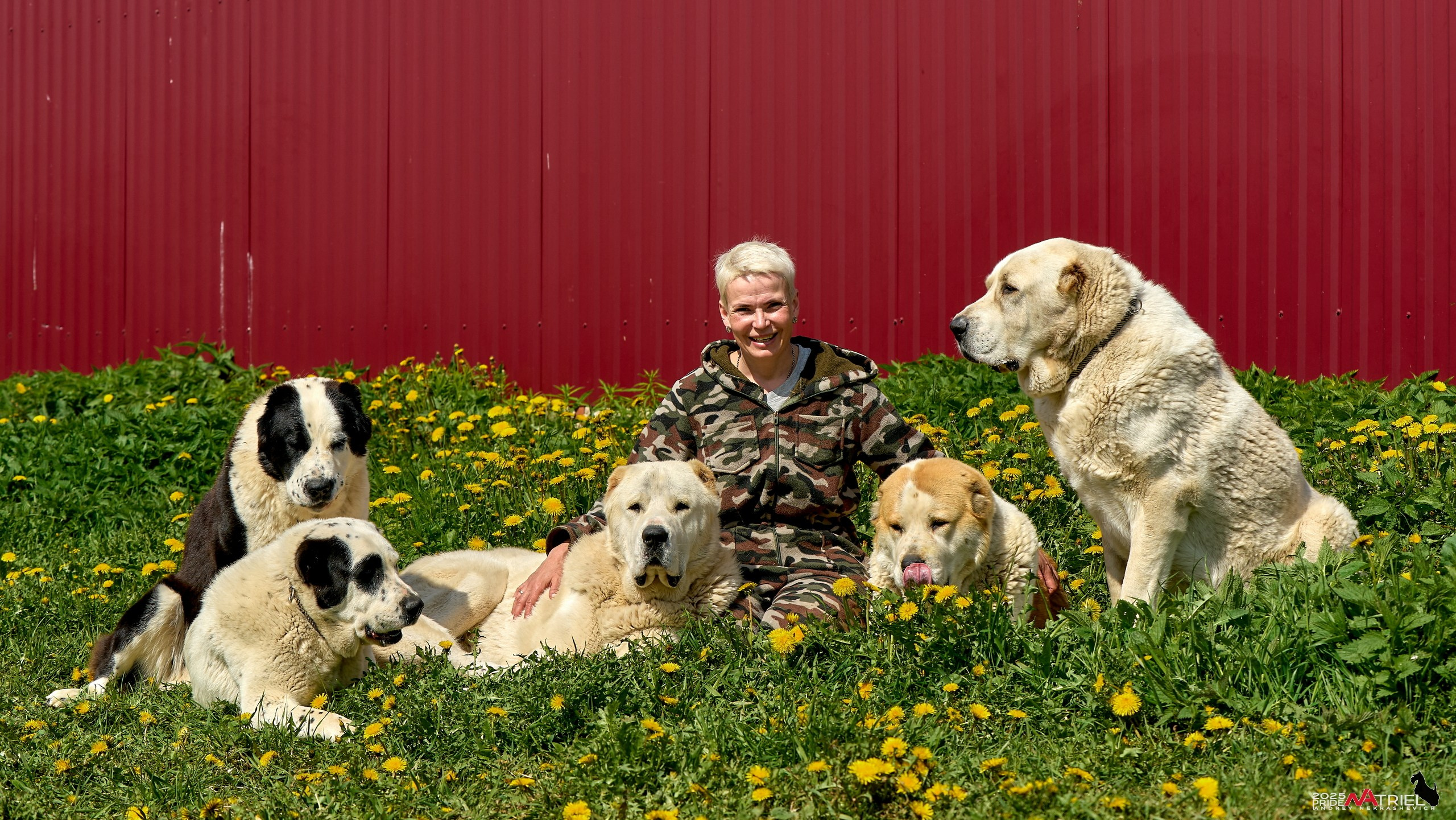 Съемка в питомнике