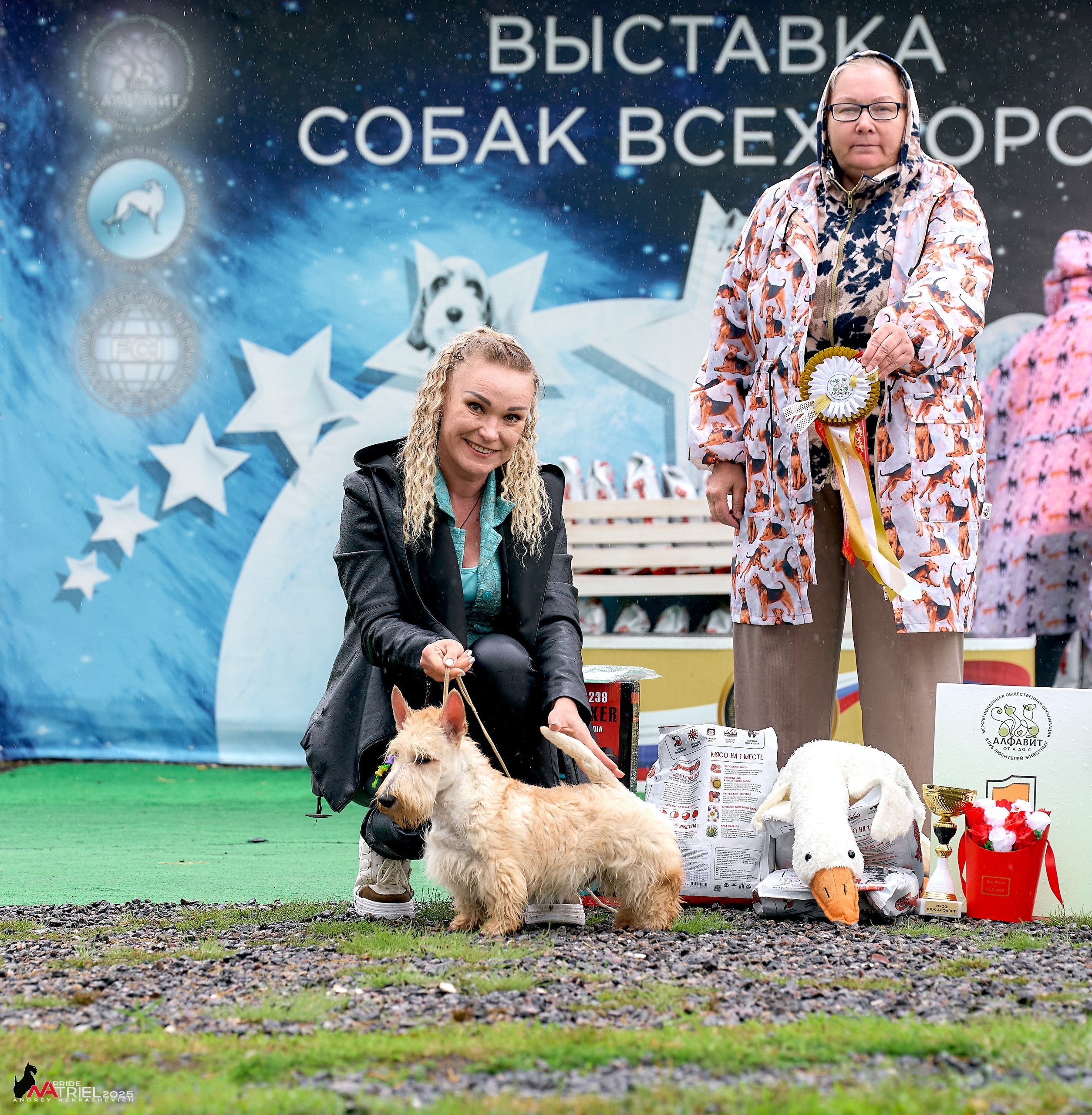 Репортаж с выставки собак