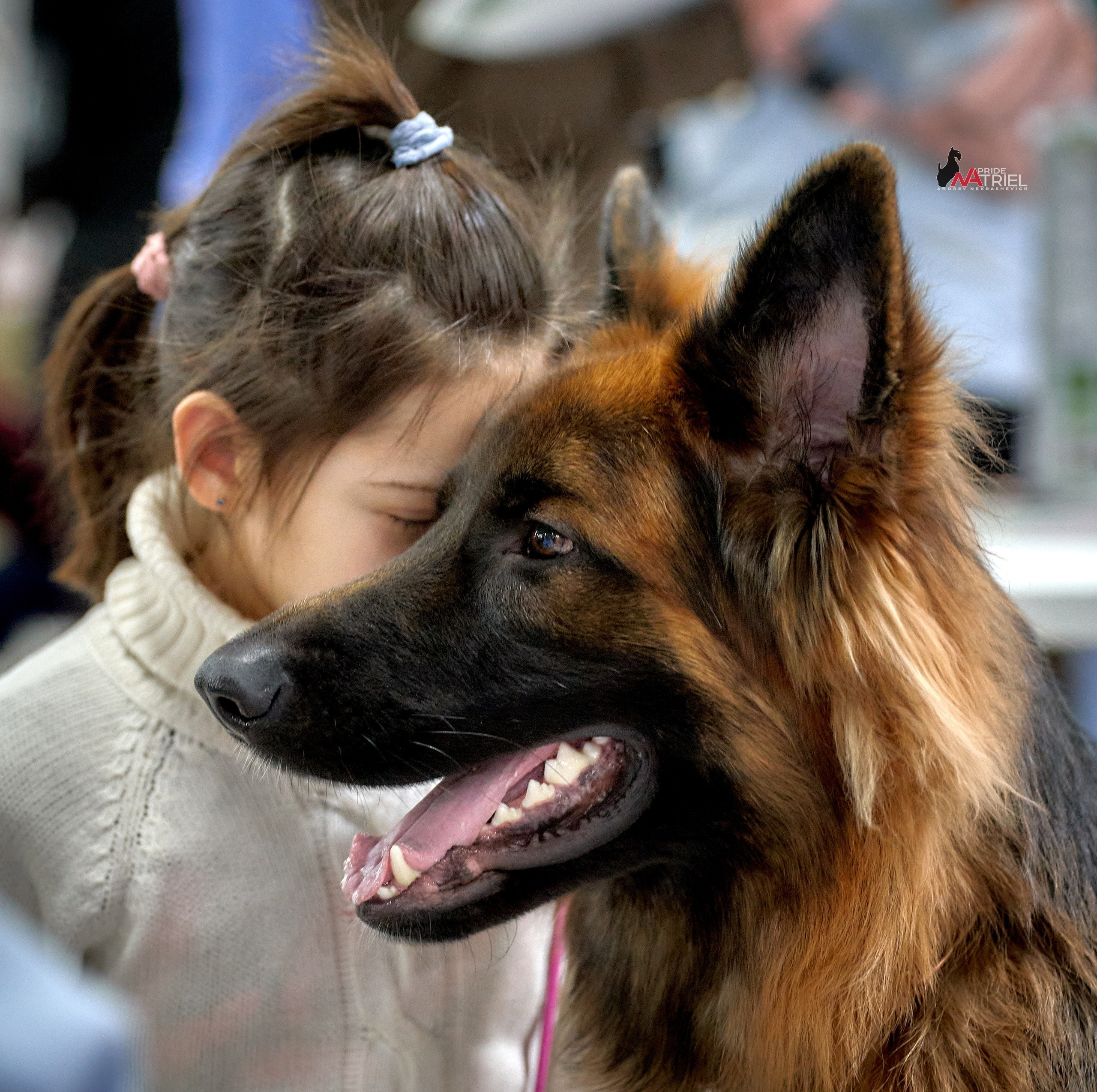 Собаки и Люди — галерея NATRIEL