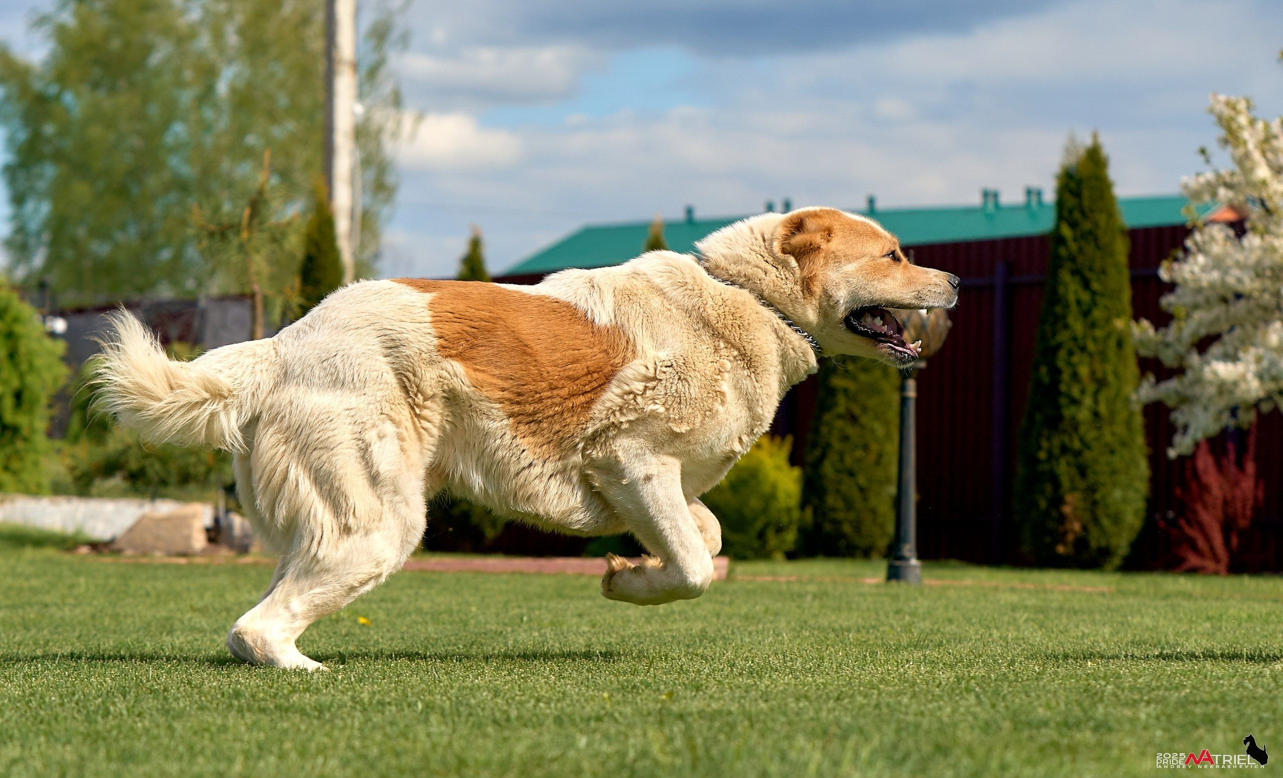 Съемка в питомнике