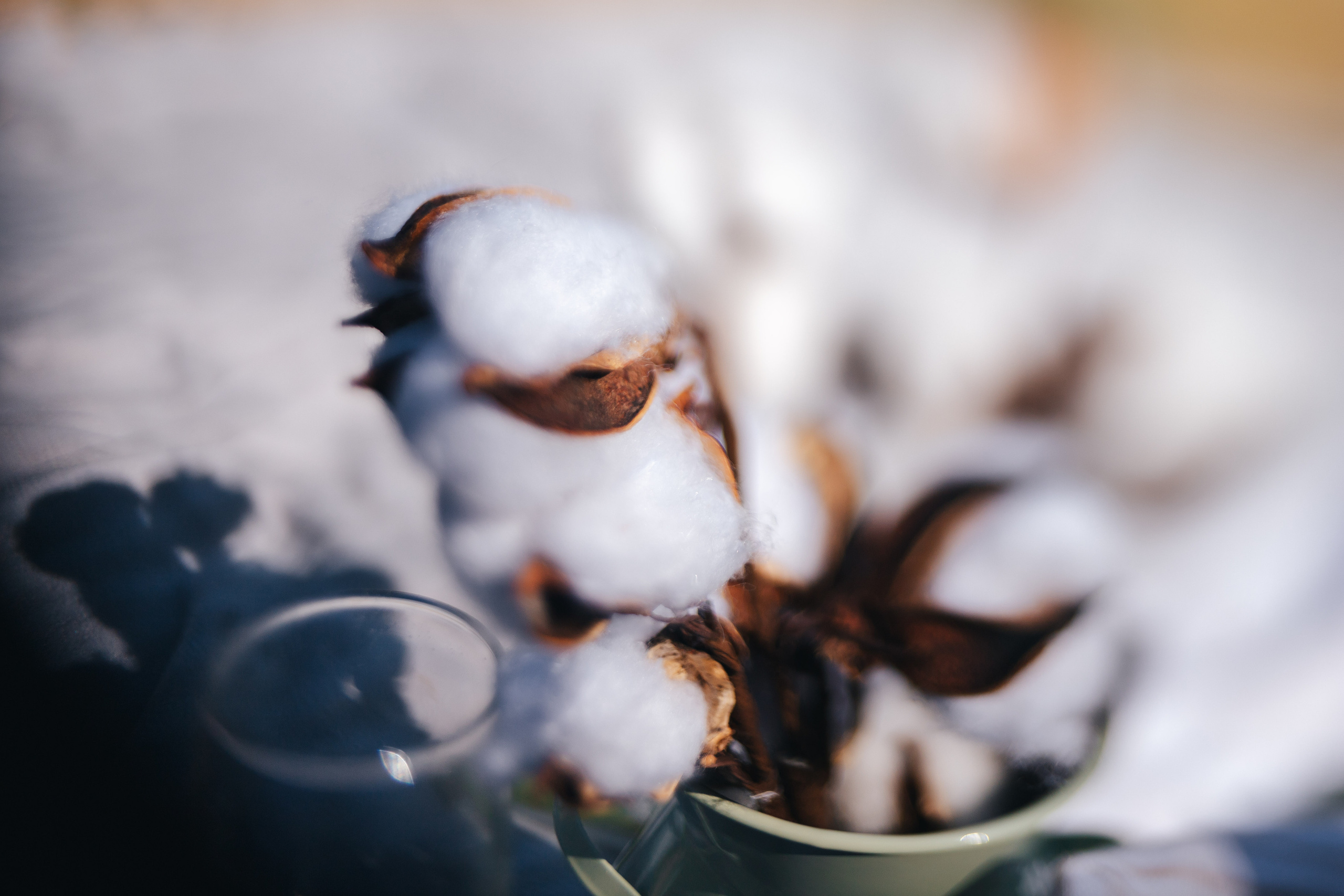 Девичник у Ксении. Семейный lifestyle фотограф в Санкт-Петербурге Людмила Пахомова