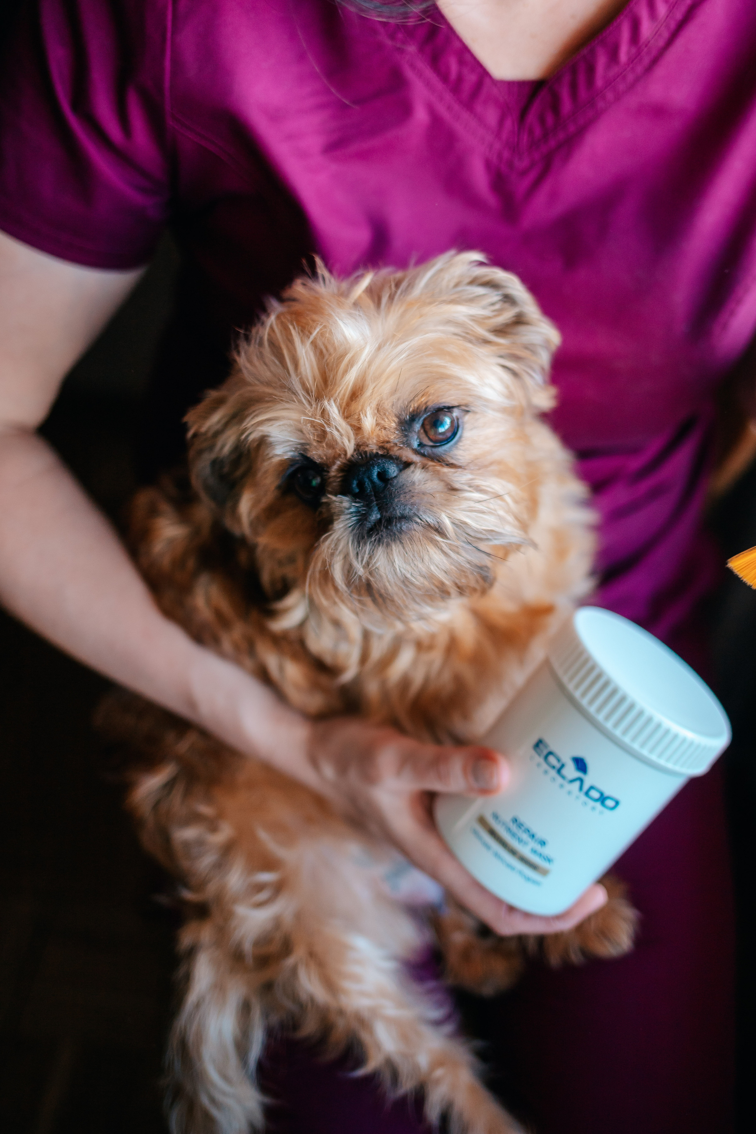 Алёна_массажист. Семейный lifestyle фотограф в Санкт-Петербурге Людмила Пахомова