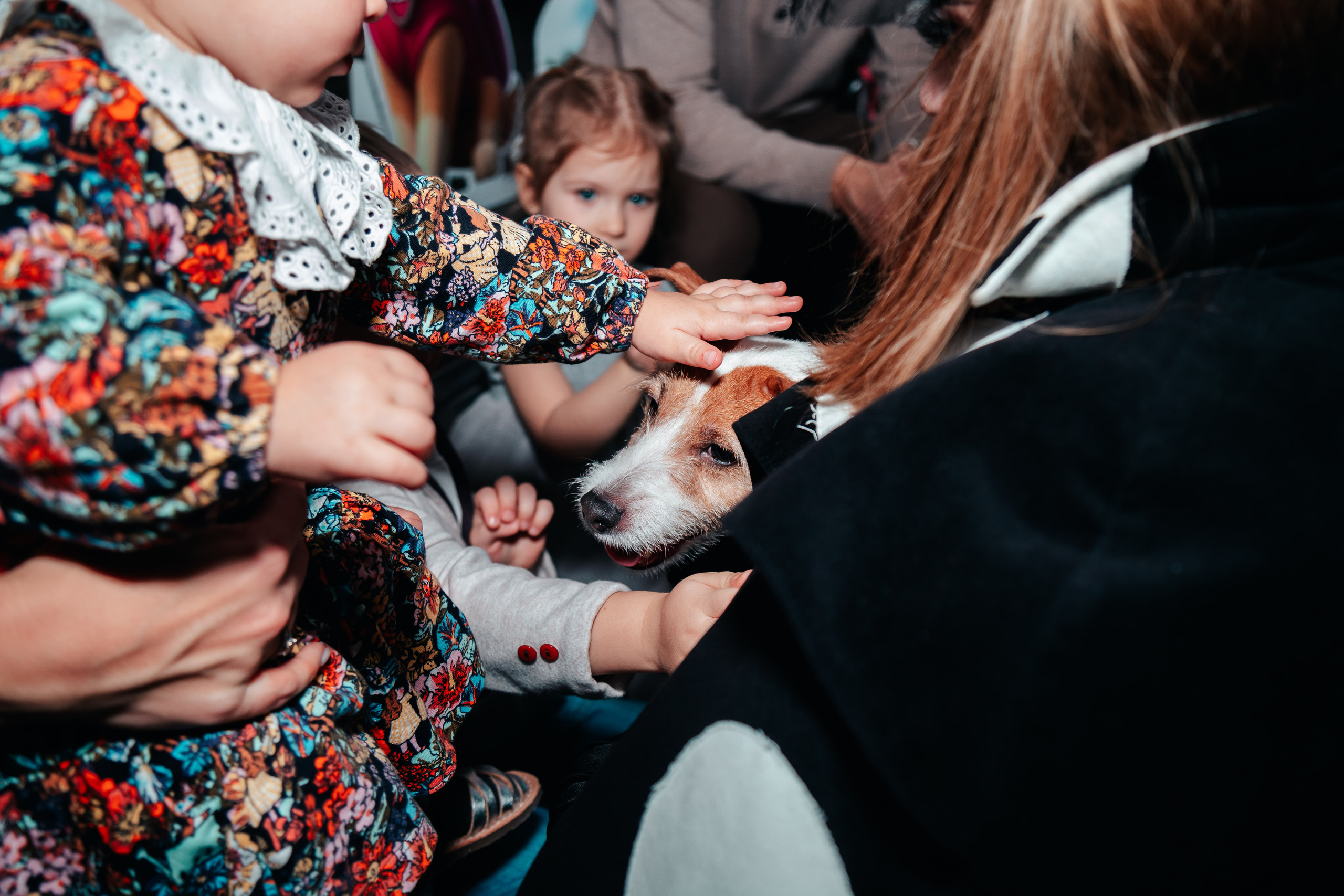 Полине 3 годика. Семейный lifestyle фотограф в Санкт-Петербурге Людмила Пахомова