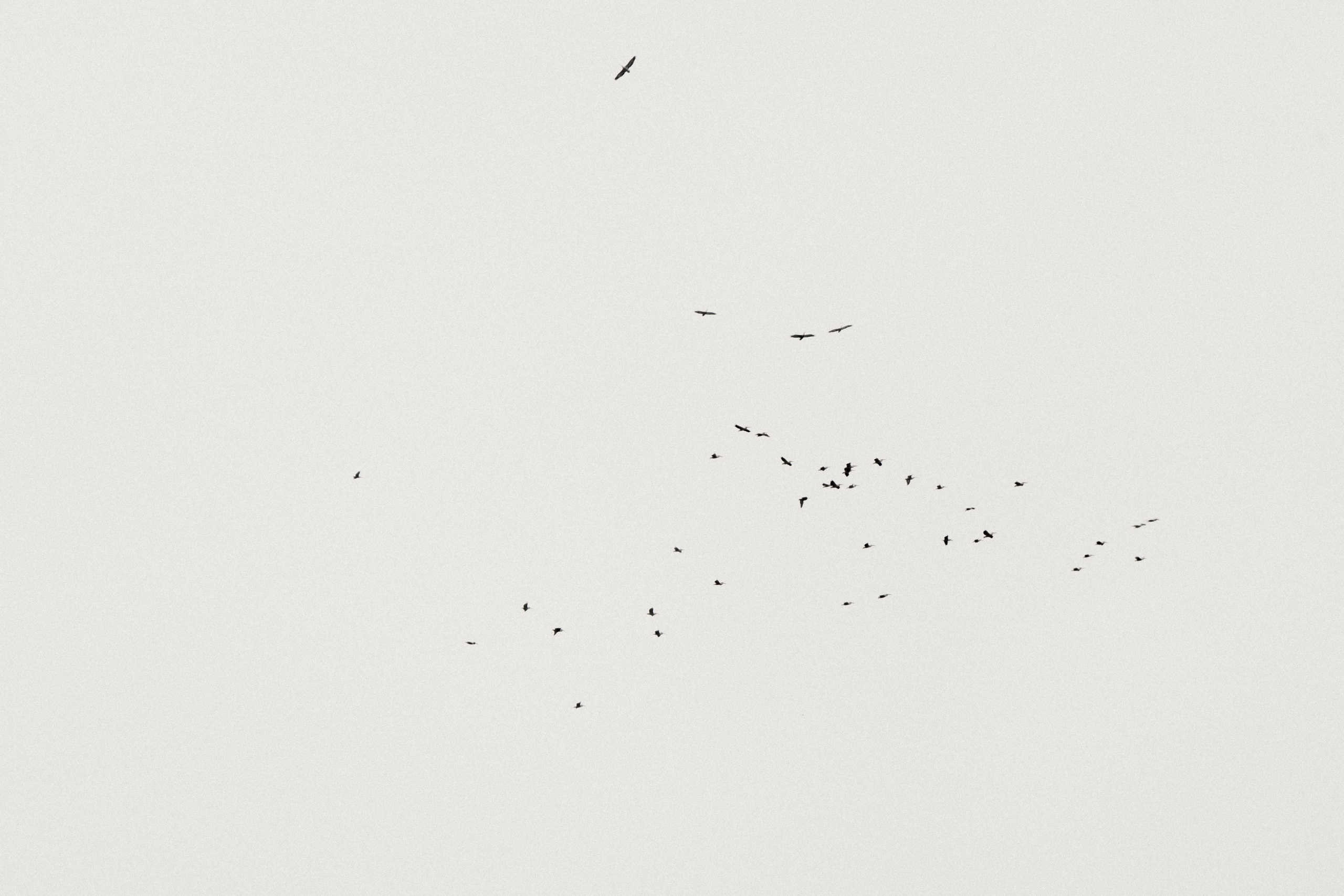 Людмила. Фотограф в Каспийске