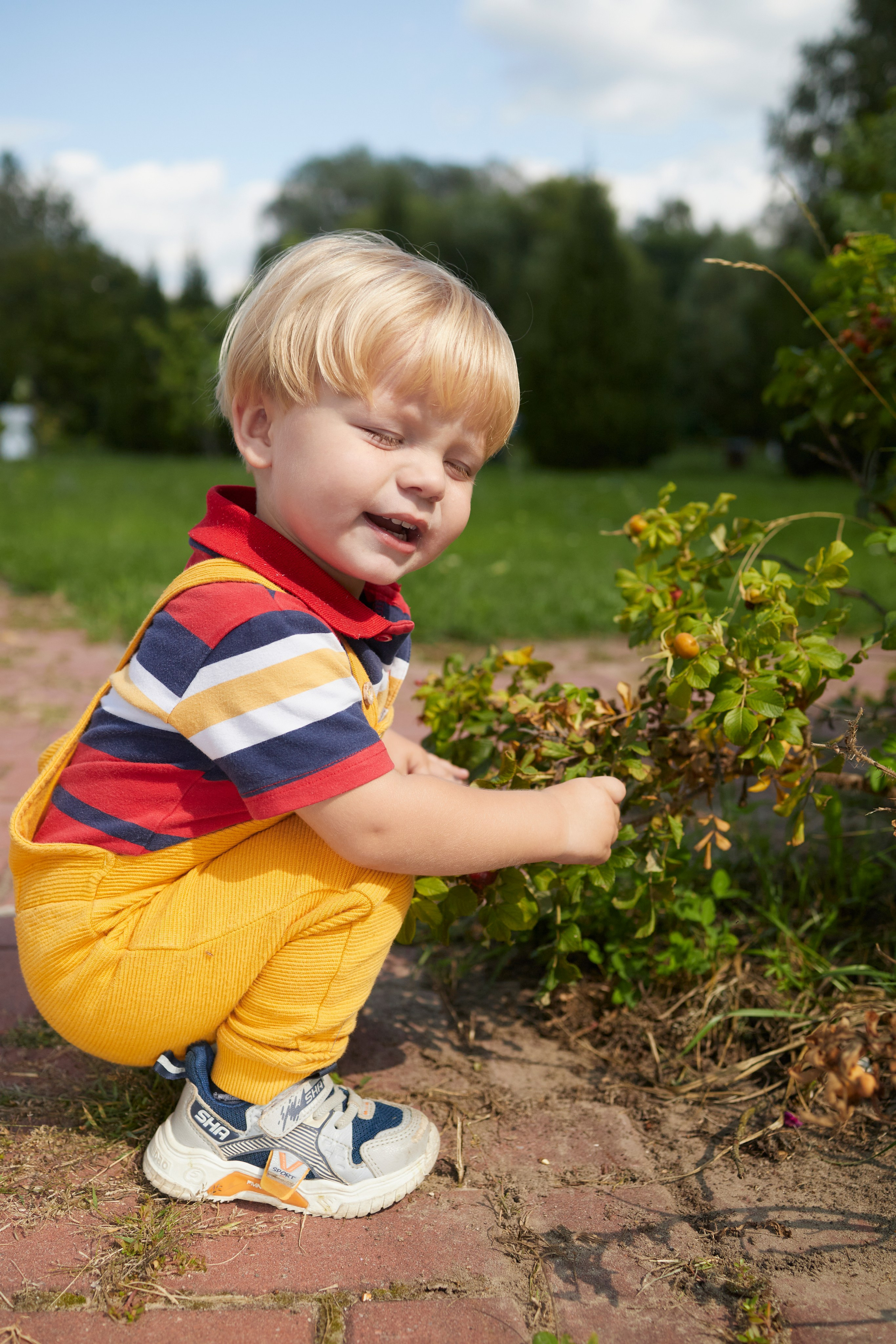 Детская фотосессия. Попробуй поймай). Семейный и детский фотограф Майя Гришина