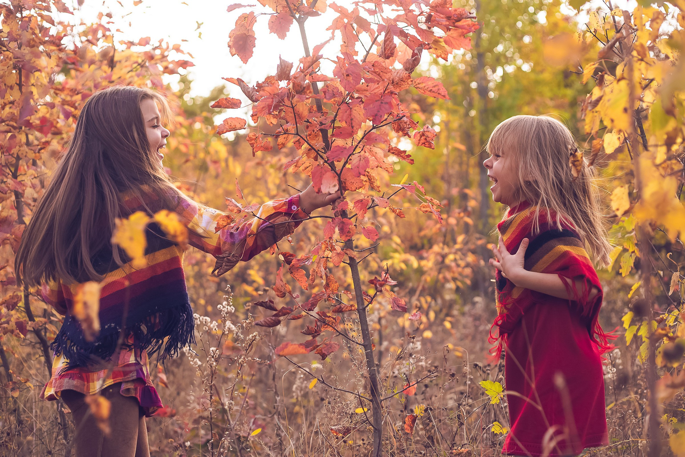 Семья дети. Фотограф Алексей Иголкин в Воронеже