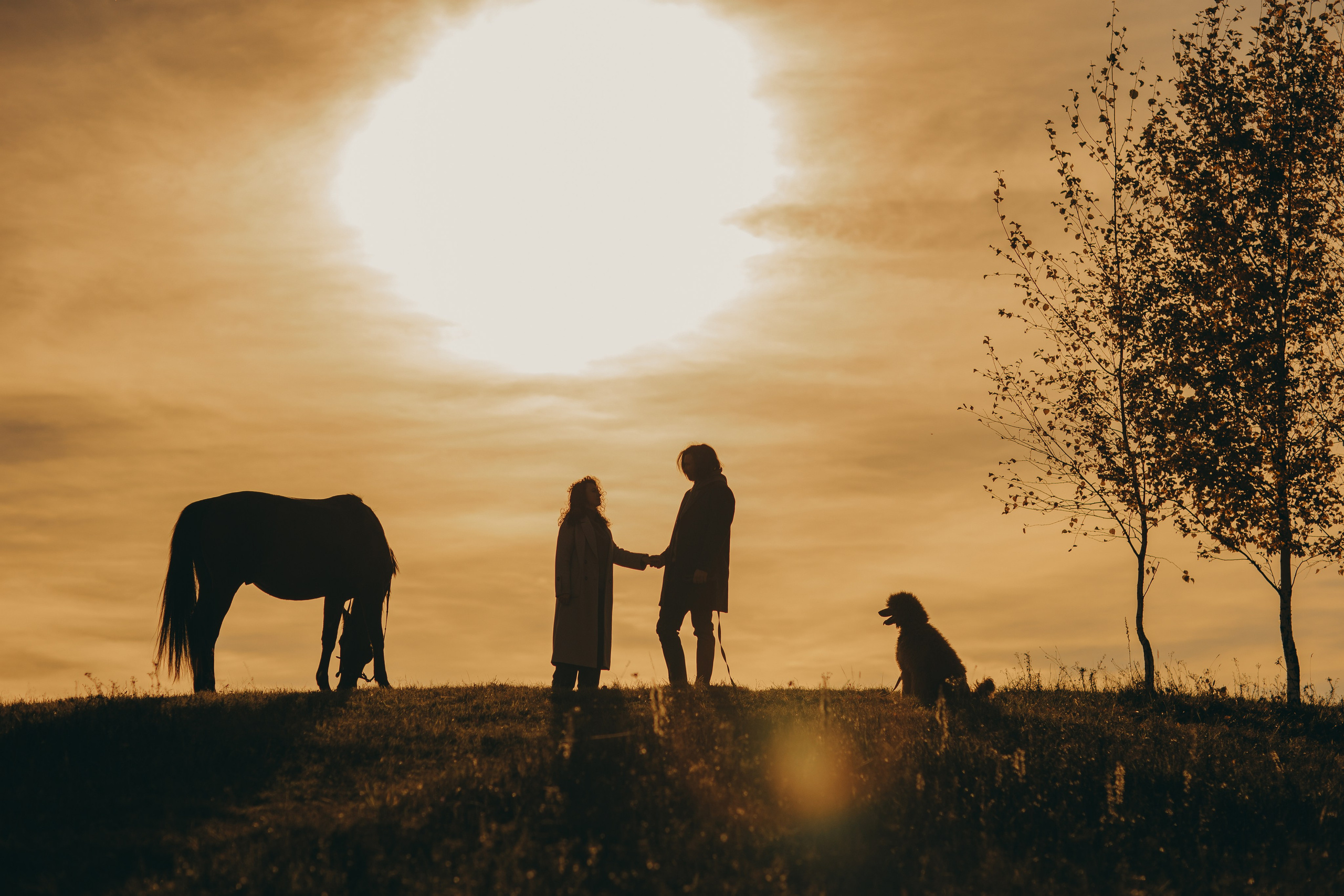 Наши пушистые дети. Главная