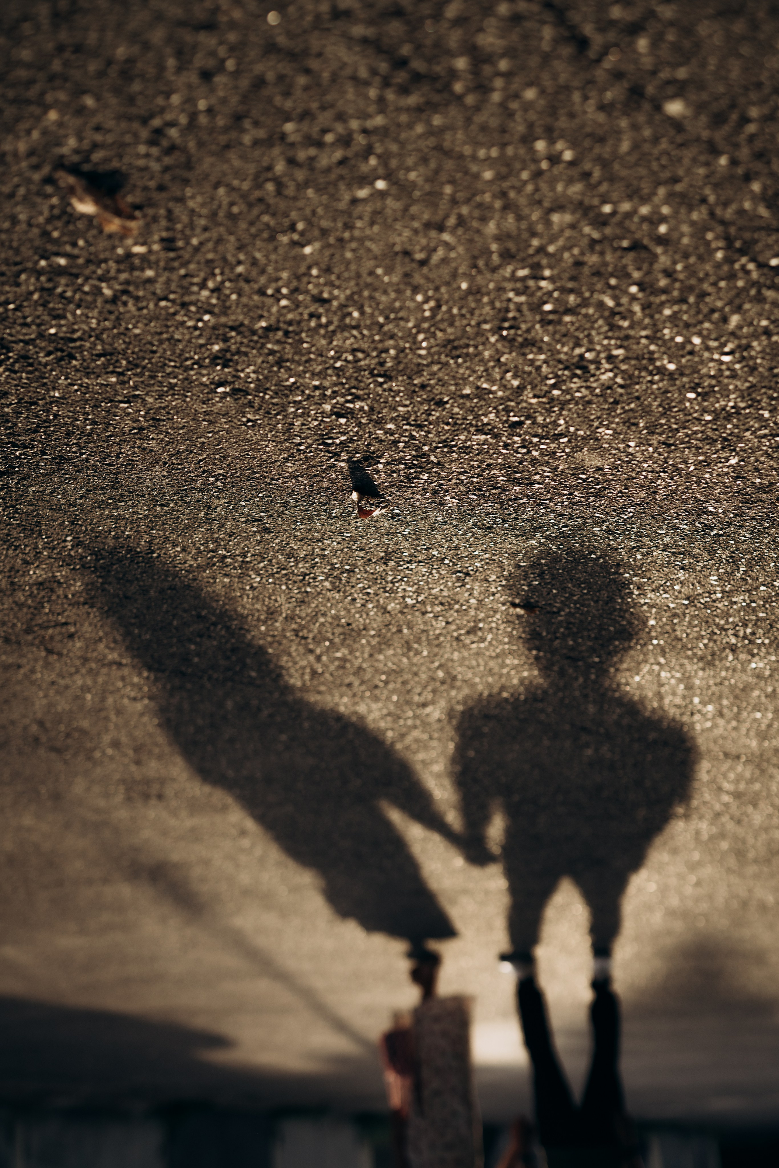 Мусалав Ульвия. Фотограф в Алматы Чалова Нафиса