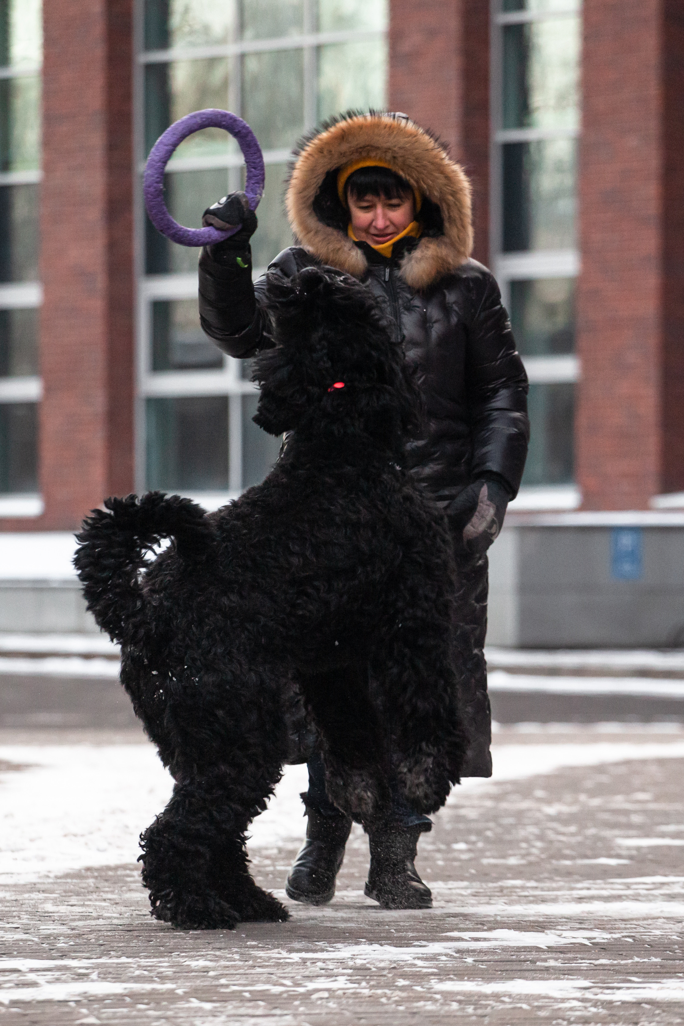 Фотопрогулка завод Арма. Фотограф-анималист Татьяна Степанова