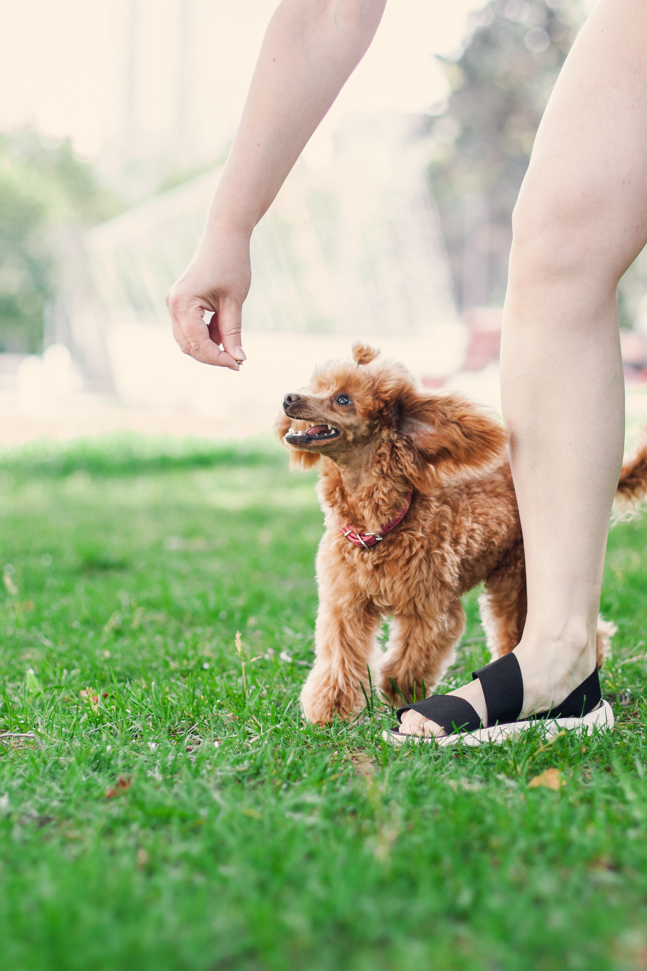 Оля и Ася. Фотограф-анималист Татьяна Степанова