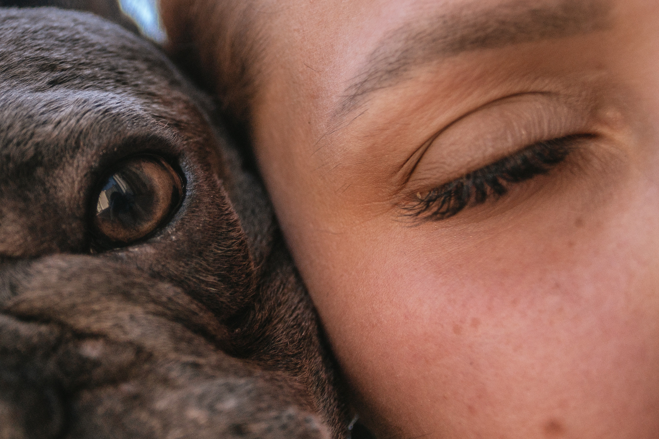 Фотопрогулка у МГУ. Фотограф-анималист Татьяна Степанова