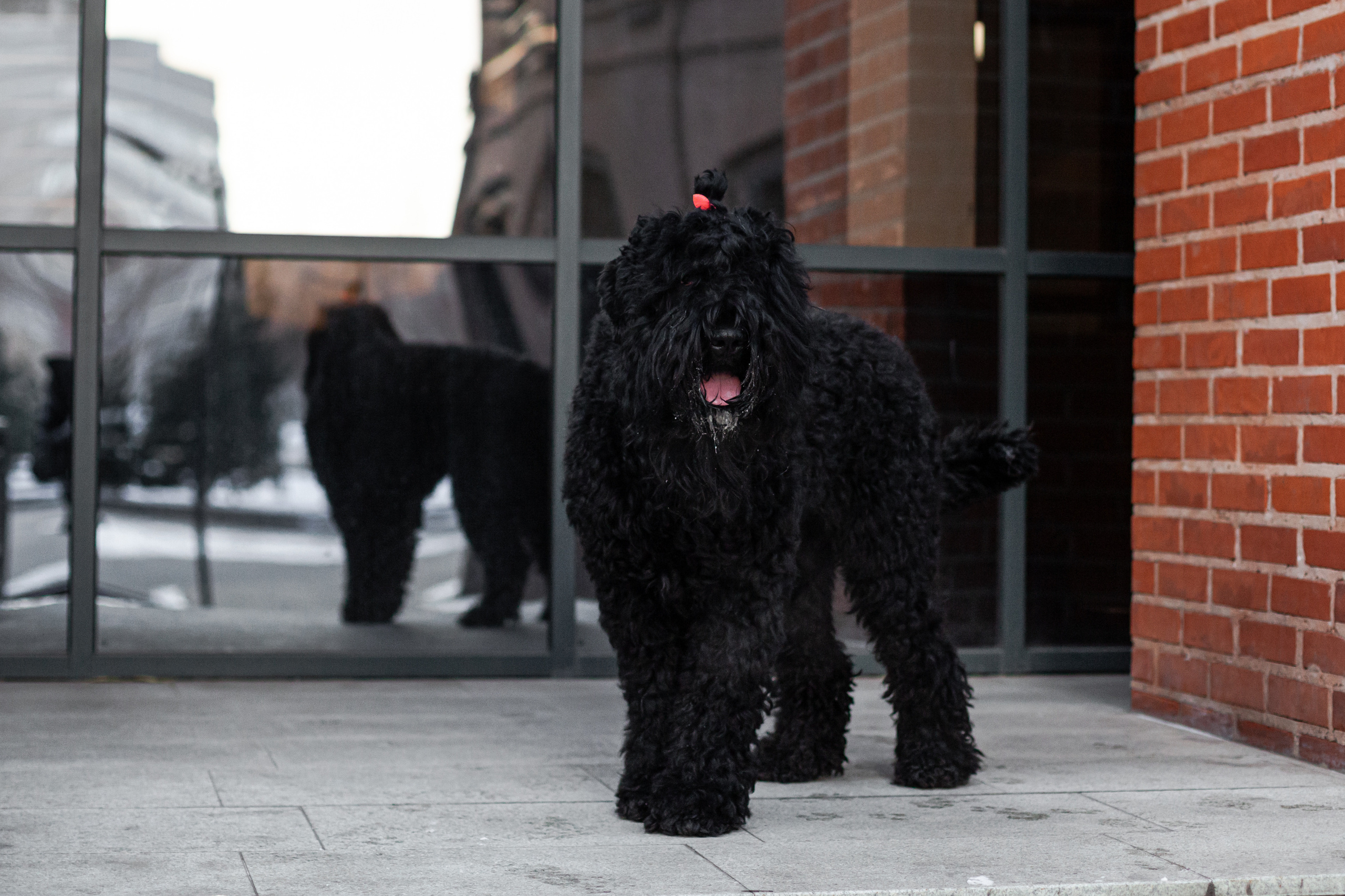 Фотопрогулка завод Арма. Фотограф-анималист Татьяна Степанова