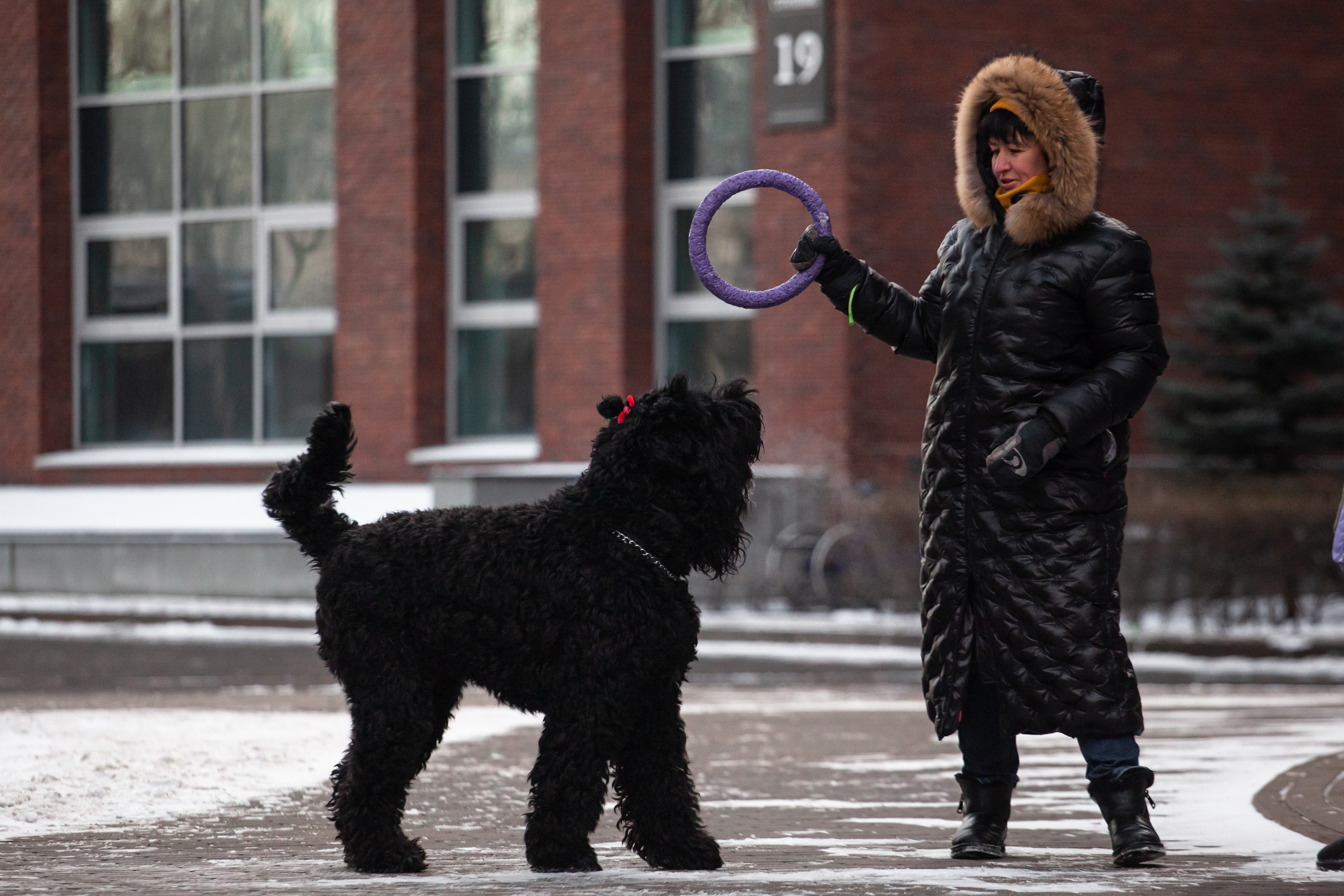 Фотопрогулка завод Арма. Фотограф-анималист Татьяна Степанова
