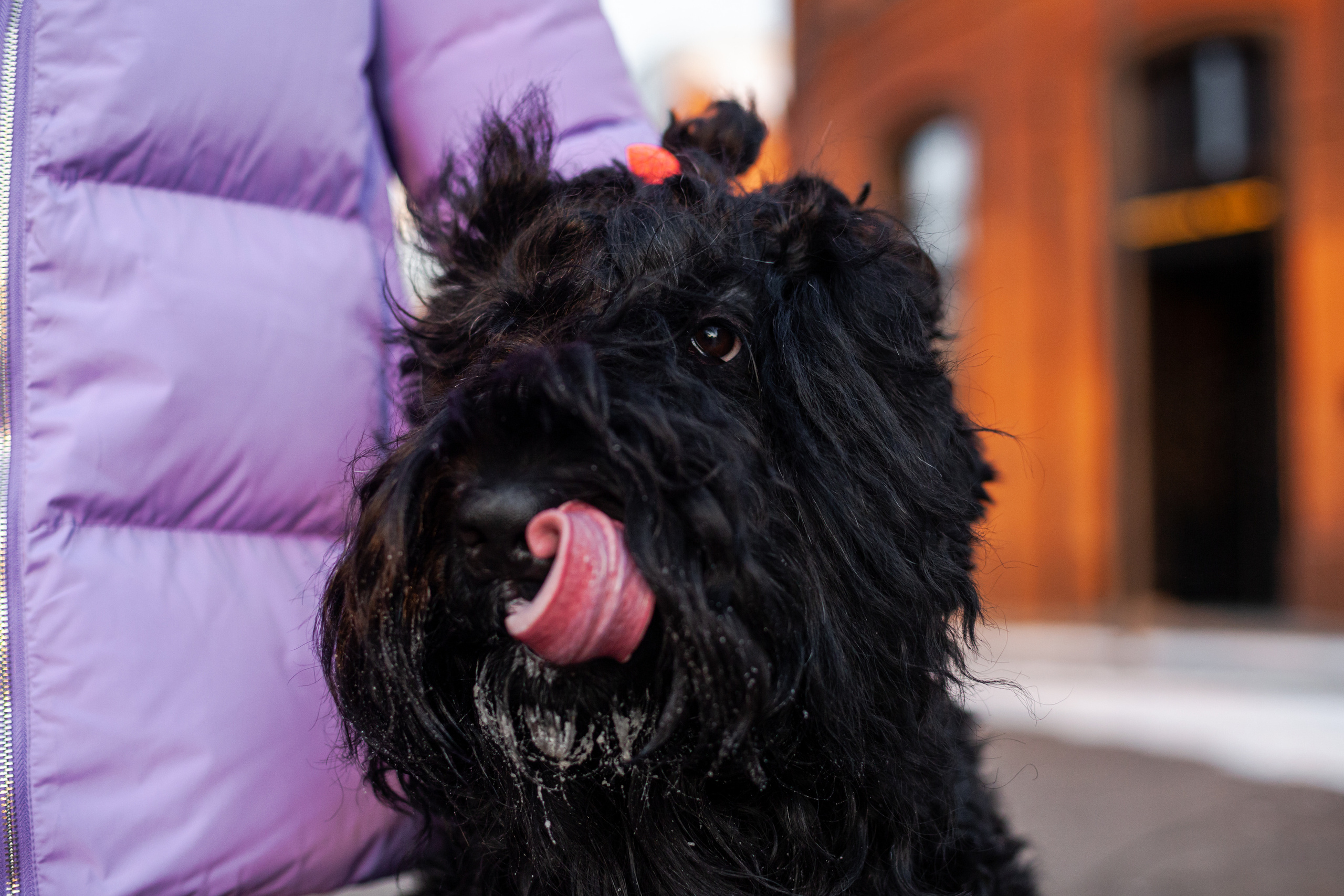 Фотопрогулка завод Арма. Фотограф-анималист Татьяна Степанова