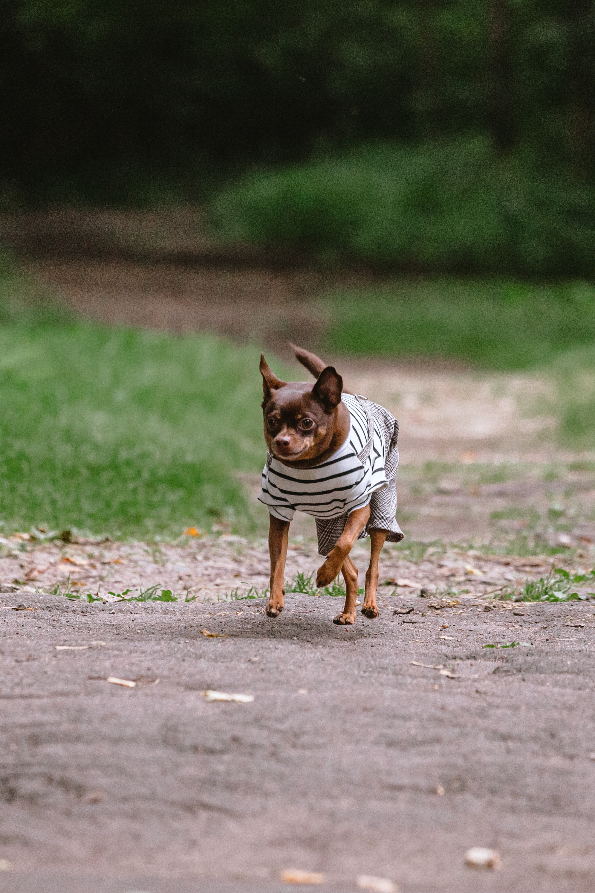 Юля и Леонид. Фотограф-анималист Татьяна Степанова