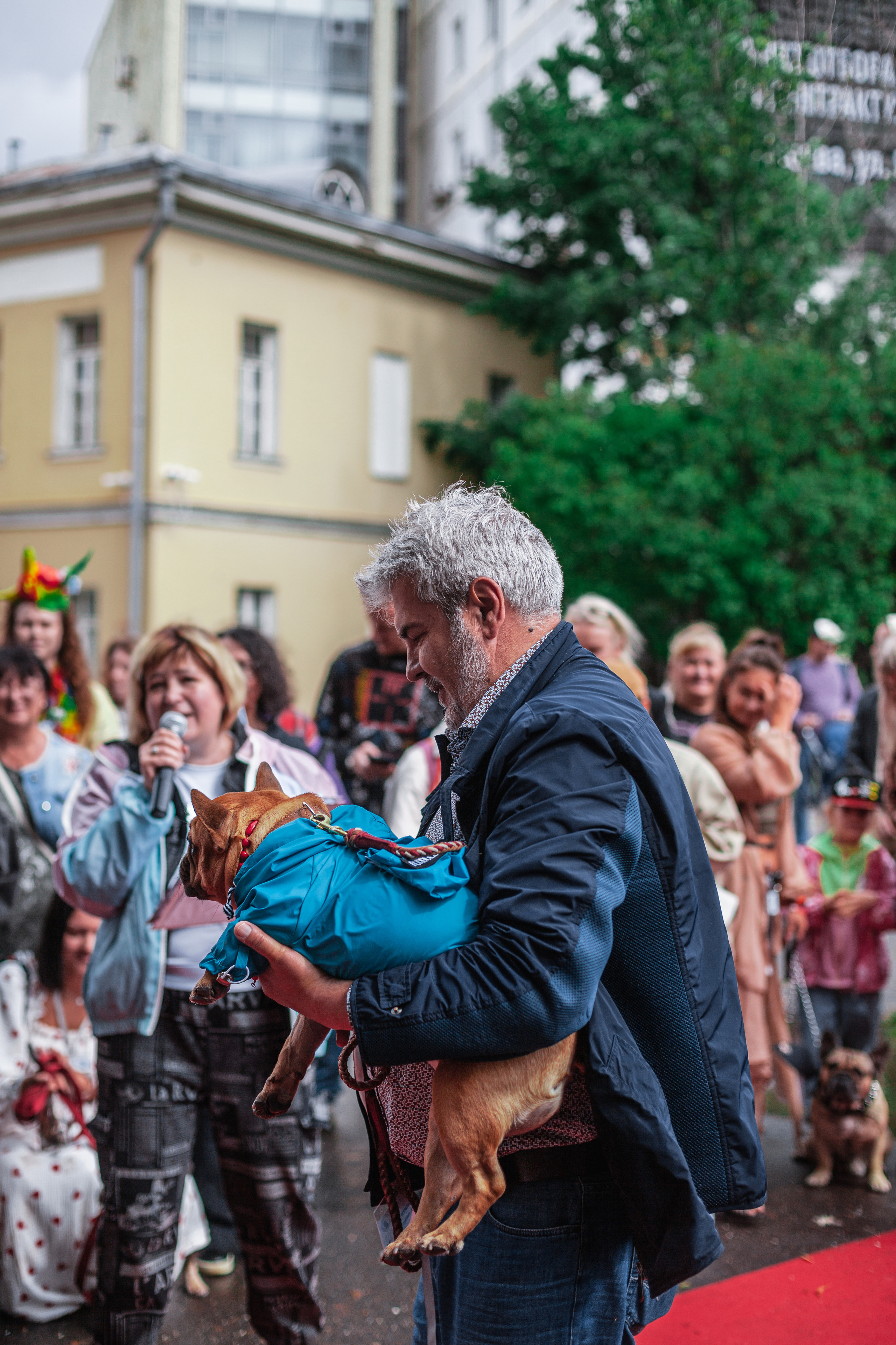 Парад французских бульдогов 15.07.2023. Фотограф-анималист Татьяна Степанова