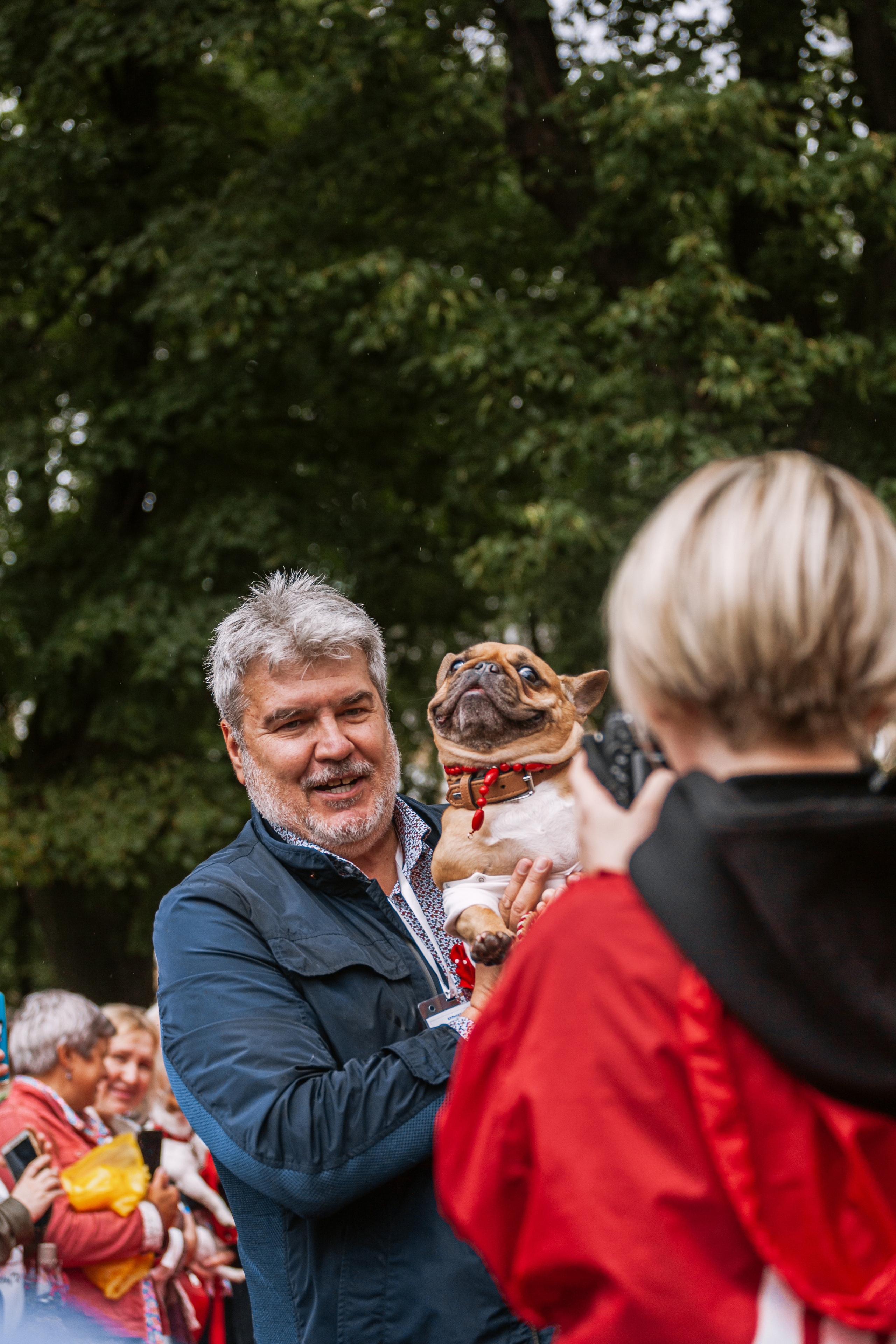 Парад французских бульдогов 15.07.2023. Фотограф-анималист Татьяна Степанова