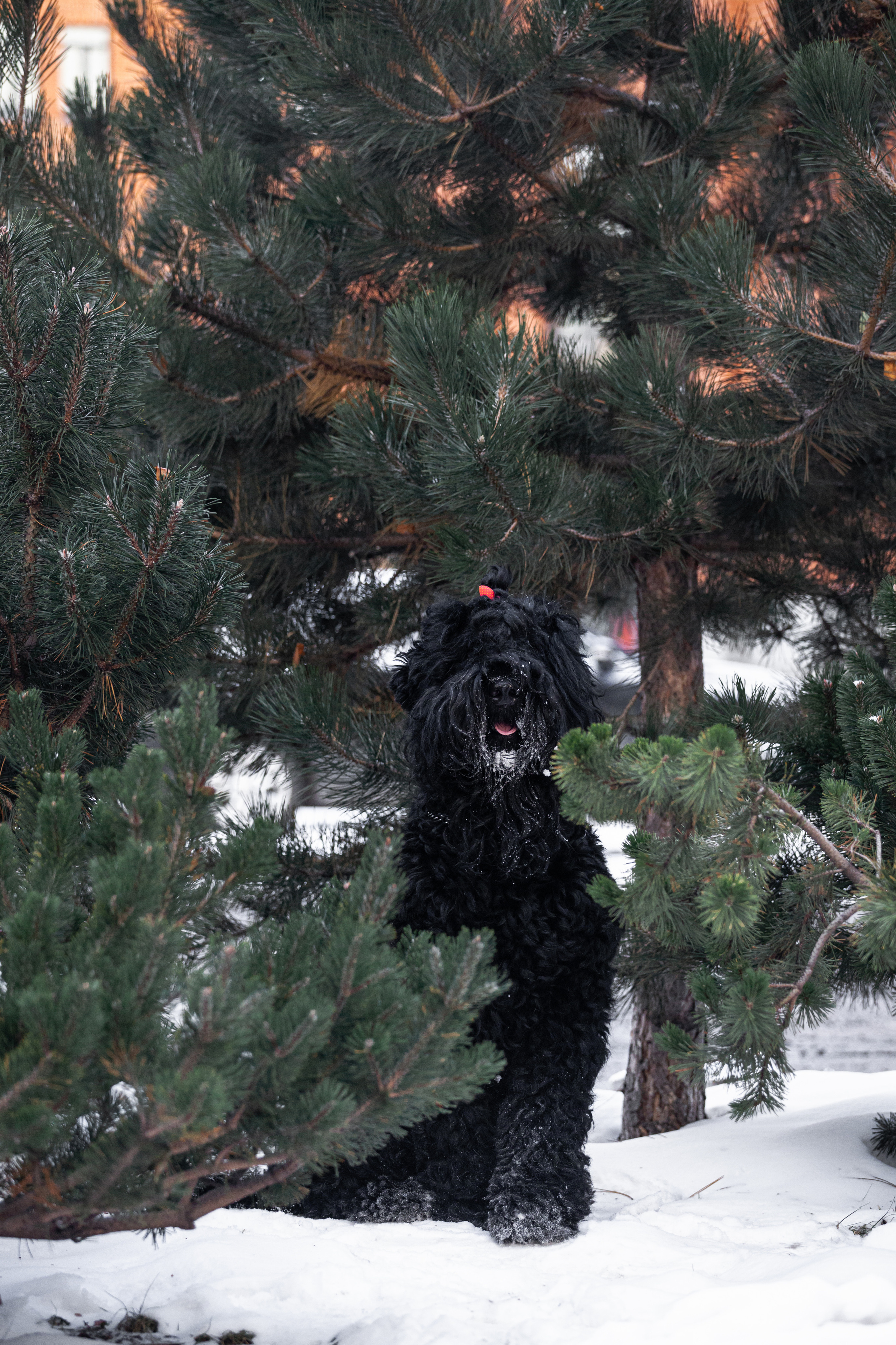 Фотопрогулка завод Арма. Фотограф-анималист Татьяна Степанова