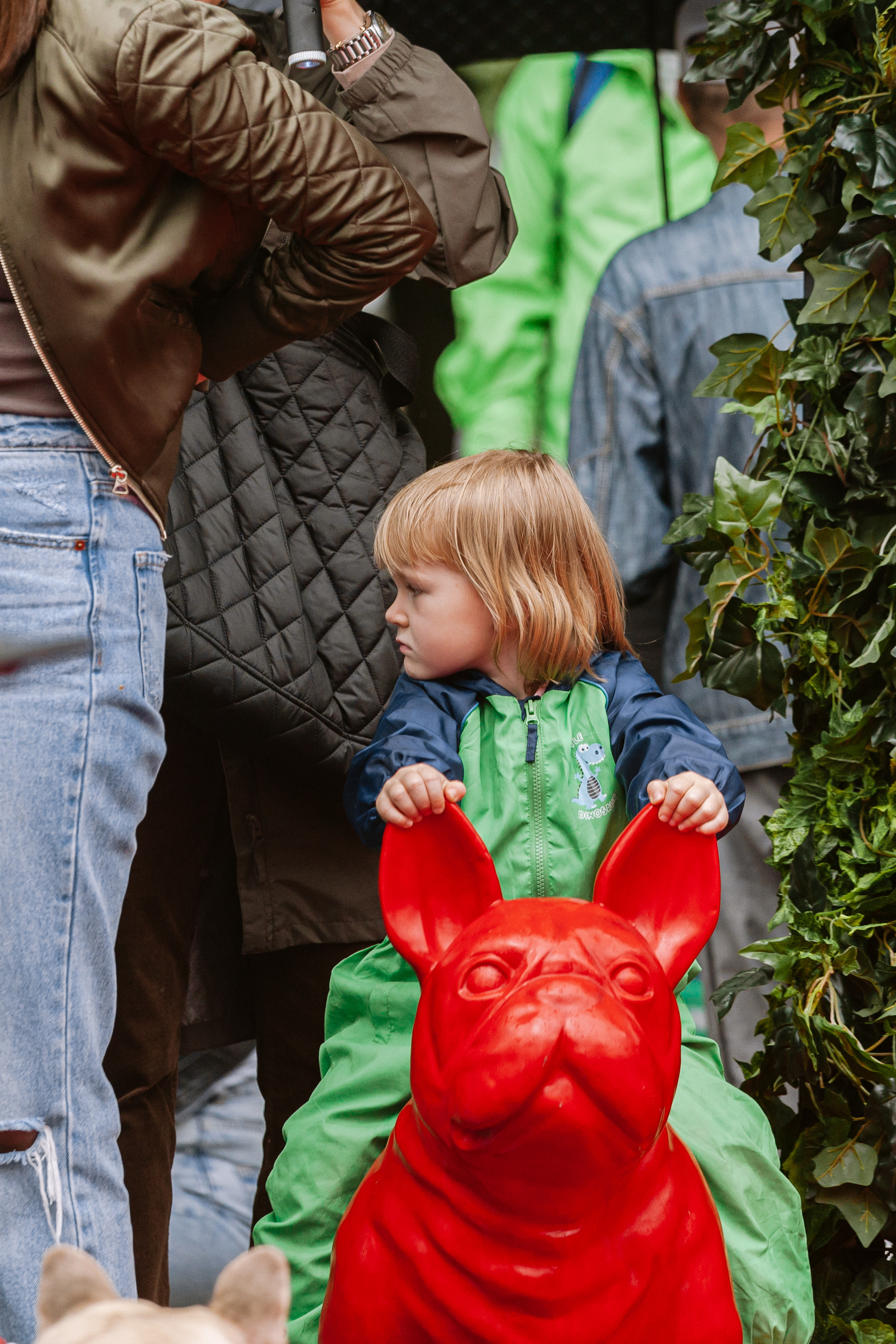 Парад французских бульдогов 15.07.2023. Фотограф-анималист Татьяна Степанова
