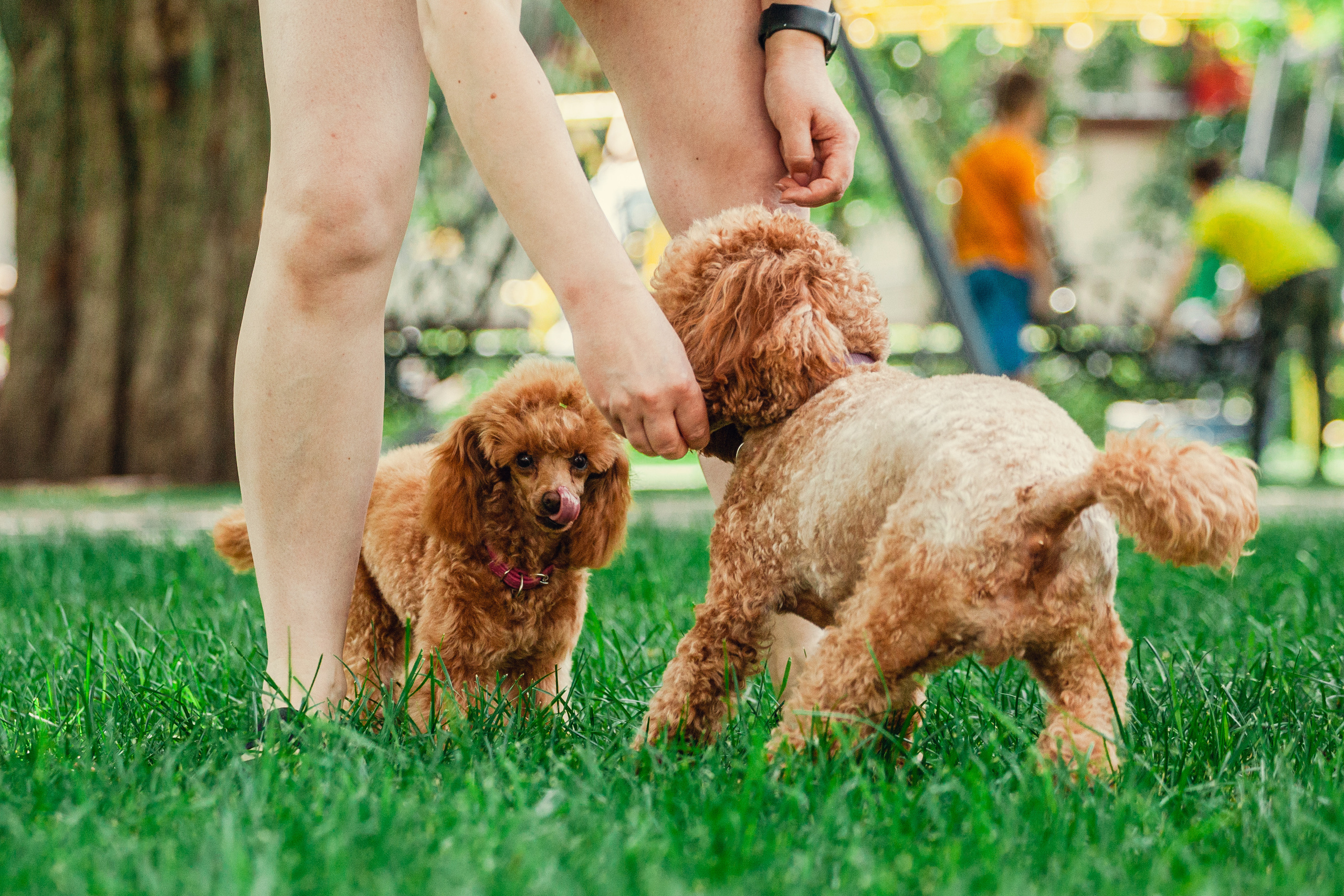 Оля и Ася. Фотограф-анималист Татьяна Степанова