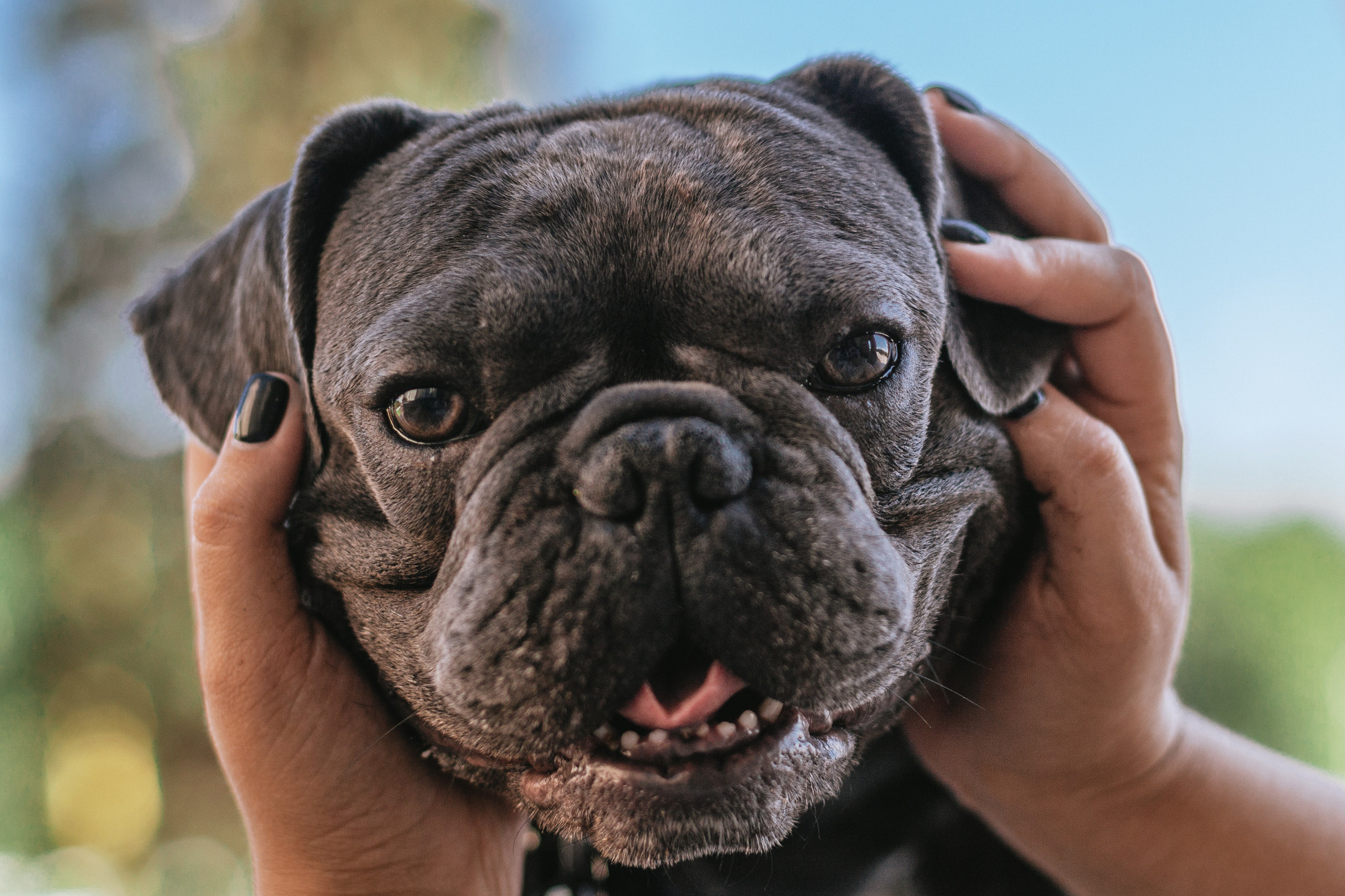 Фотопрогулка у МГУ. Фотограф-анималист Татьяна Степанова