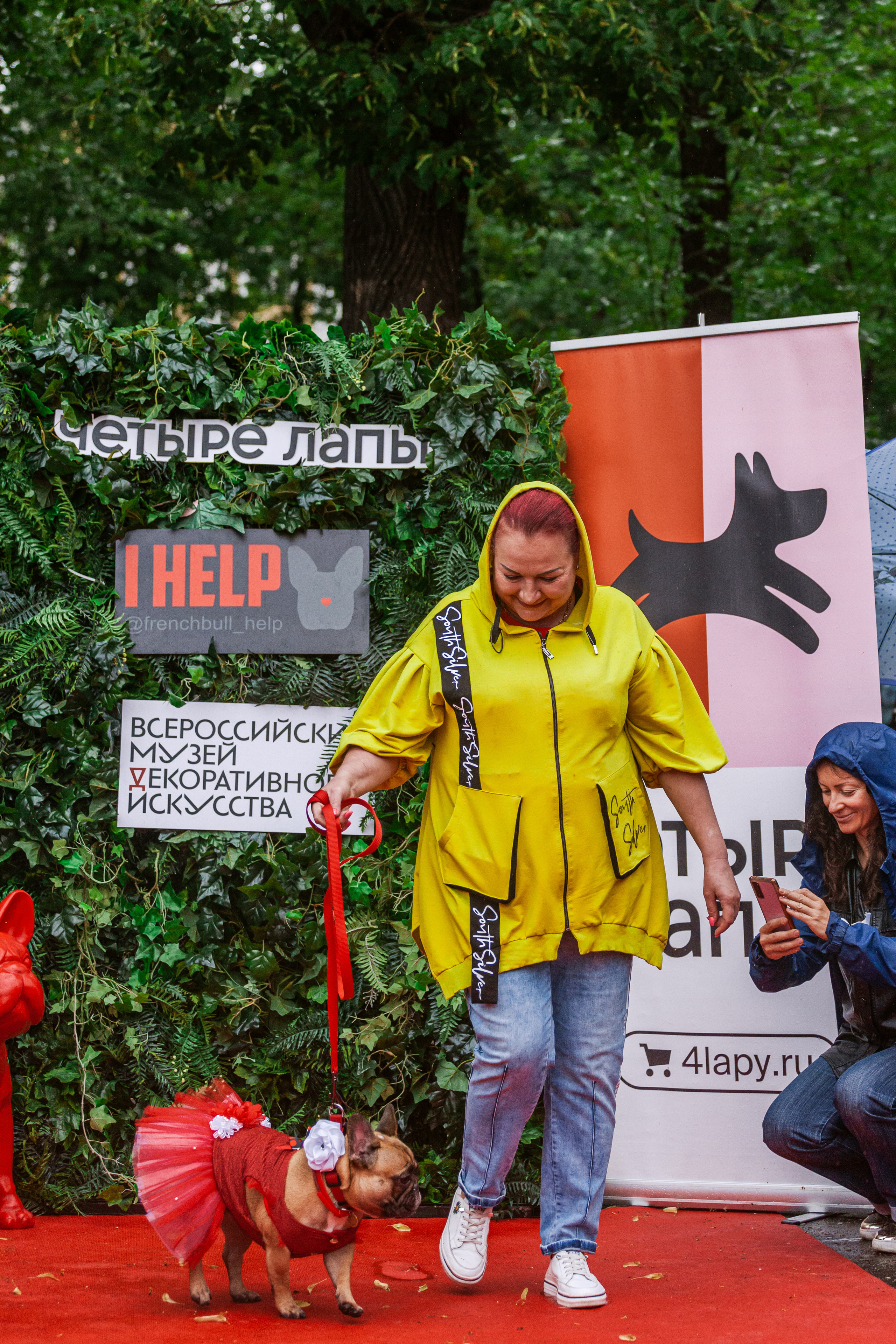 Парад французских бульдогов 15.07.2023. Фотограф-анималист Татьяна Степанова