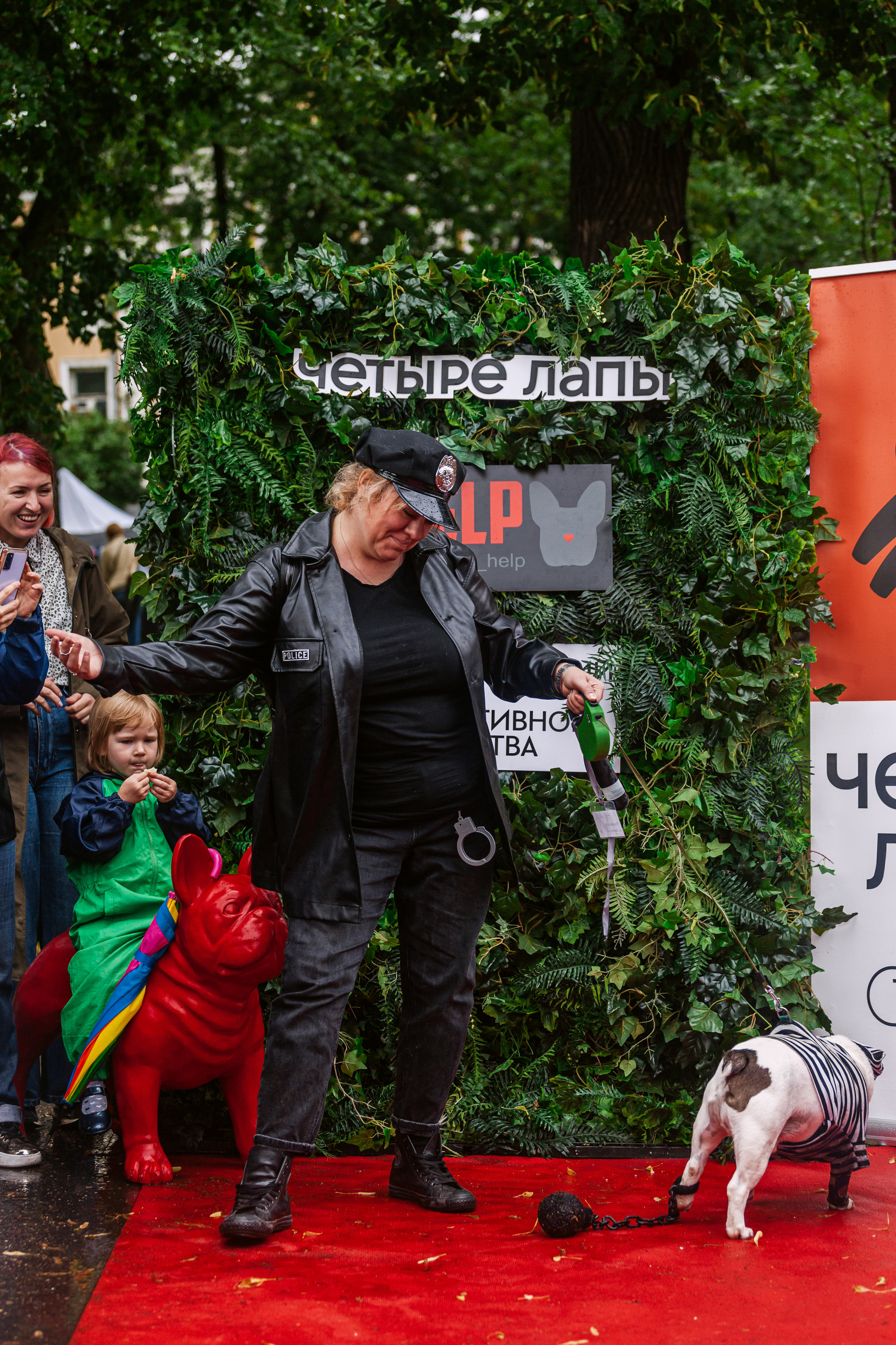 Парад французских бульдогов 15.07.2023. Фотограф-анималист Татьяна Степанова