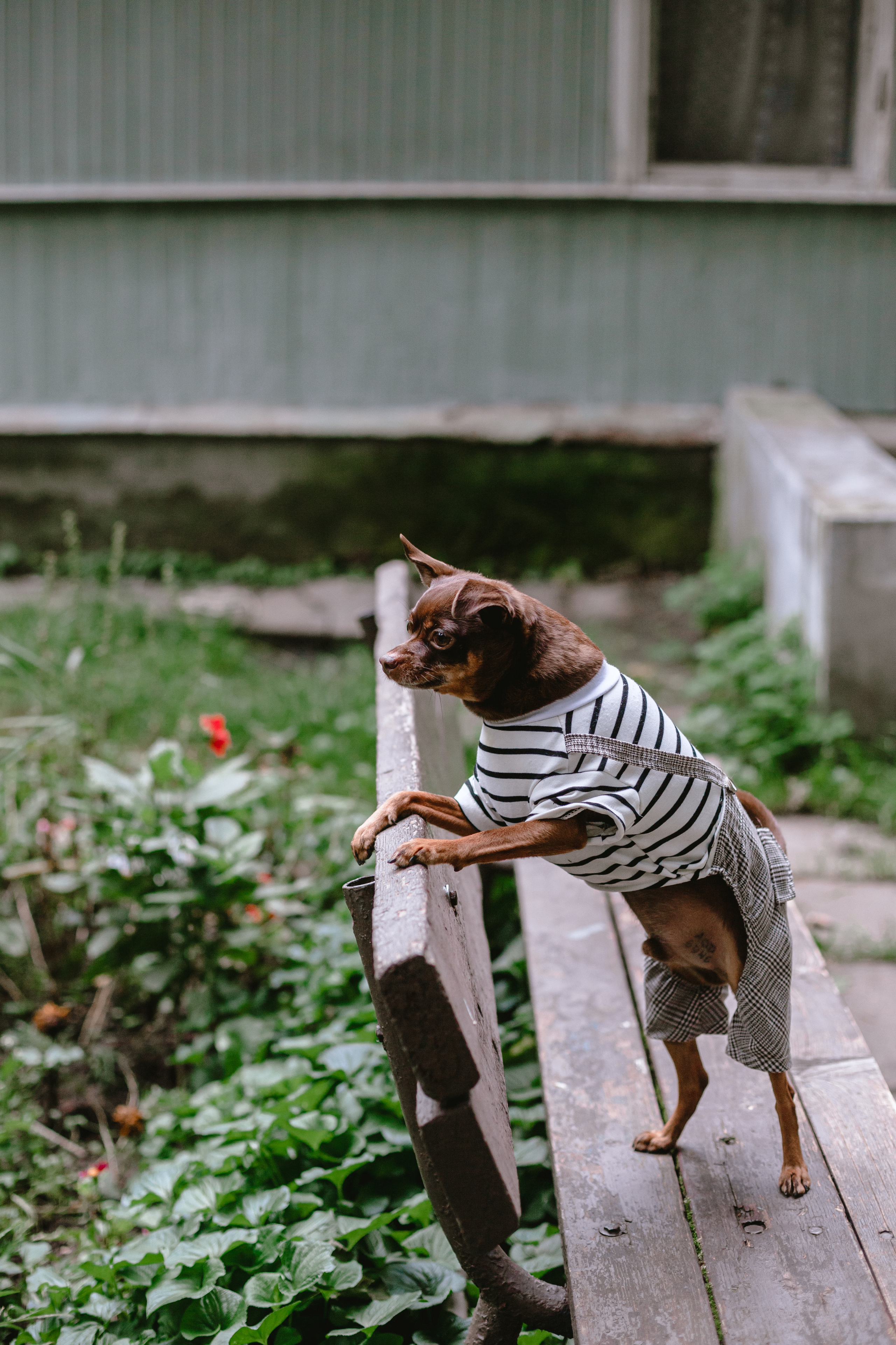 Юля и Леонид. Фотограф-анималист Татьяна Степанова