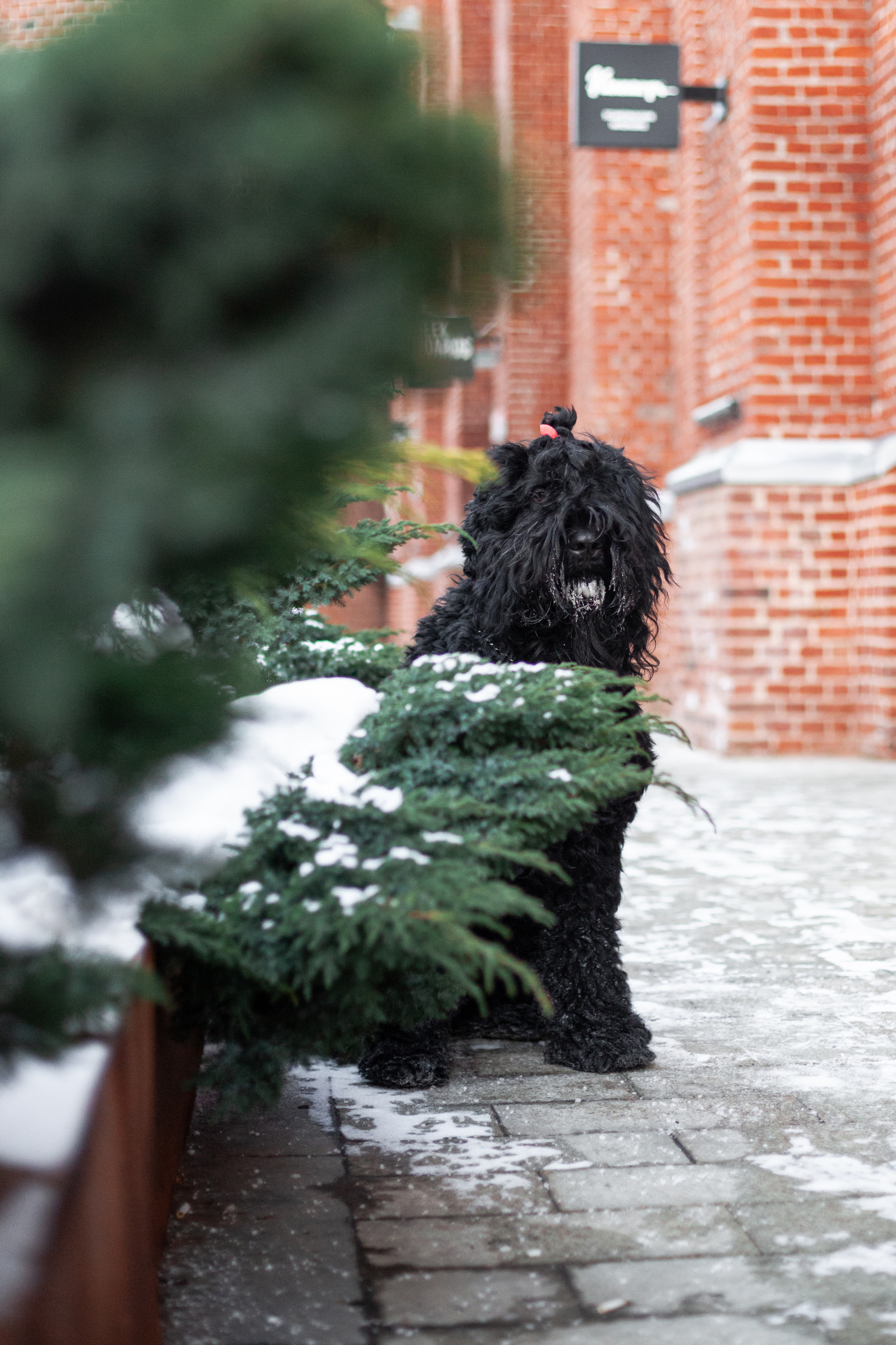 Фотопрогулка завод Арма. Фотограф-анималист Татьяна Степанова