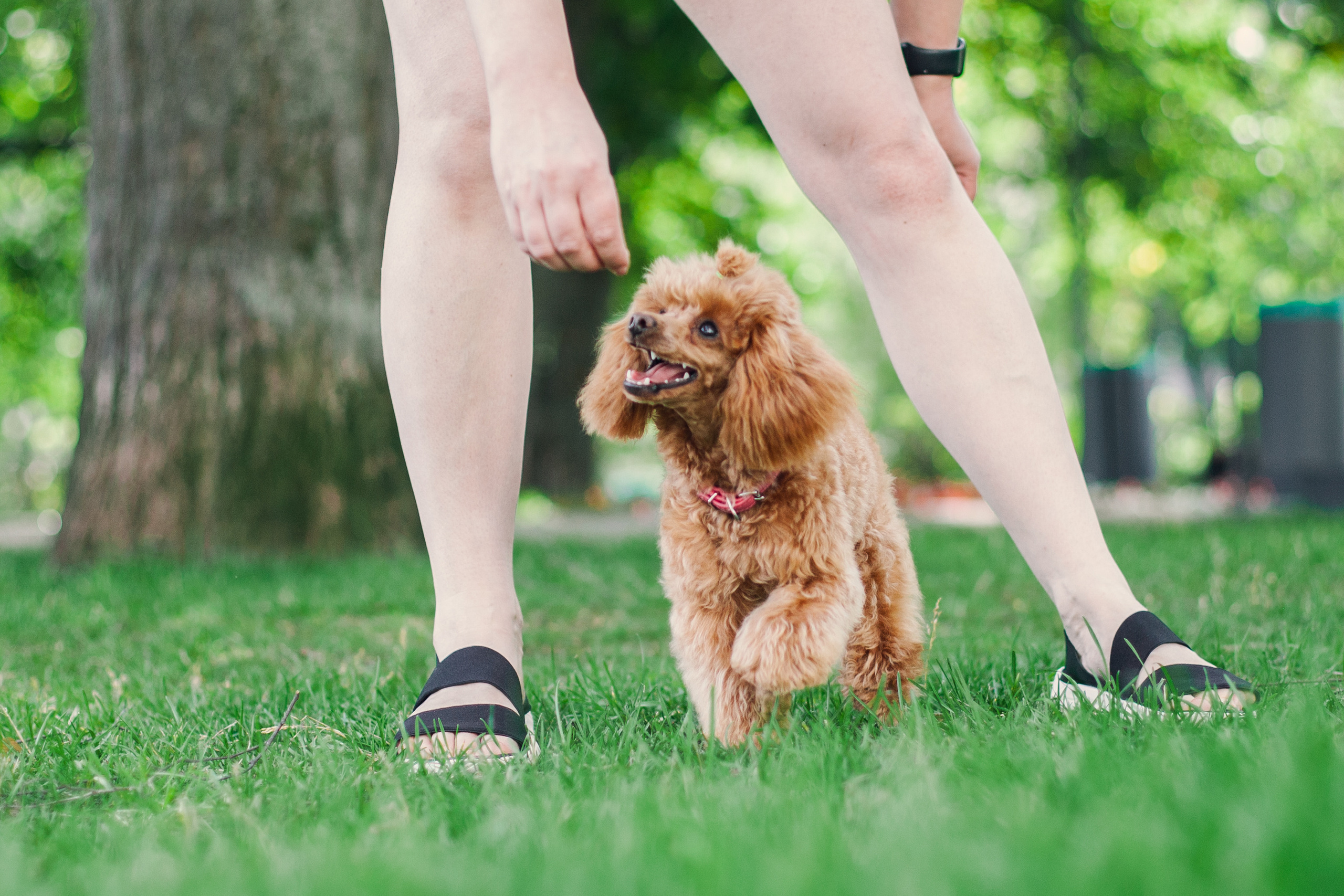 Оля и Ася. Фотограф-анималист Татьяна Степанова
