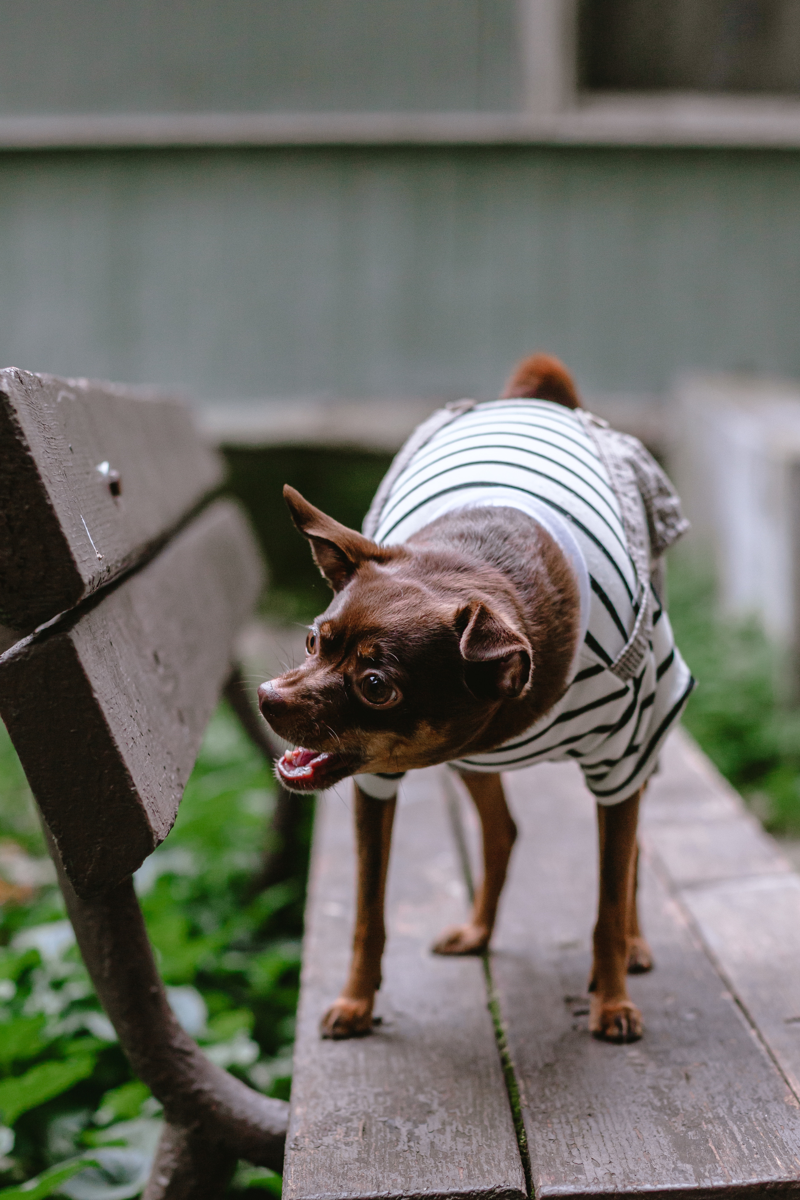 Юля и Леонид. Фотограф-анималист Татьяна Степанова