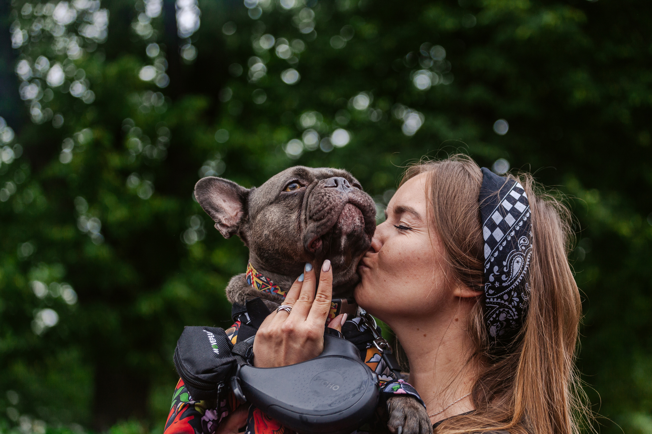 Парад французских бульдогов 15.07.2023. Фотограф-анималист Татьяна Степанова