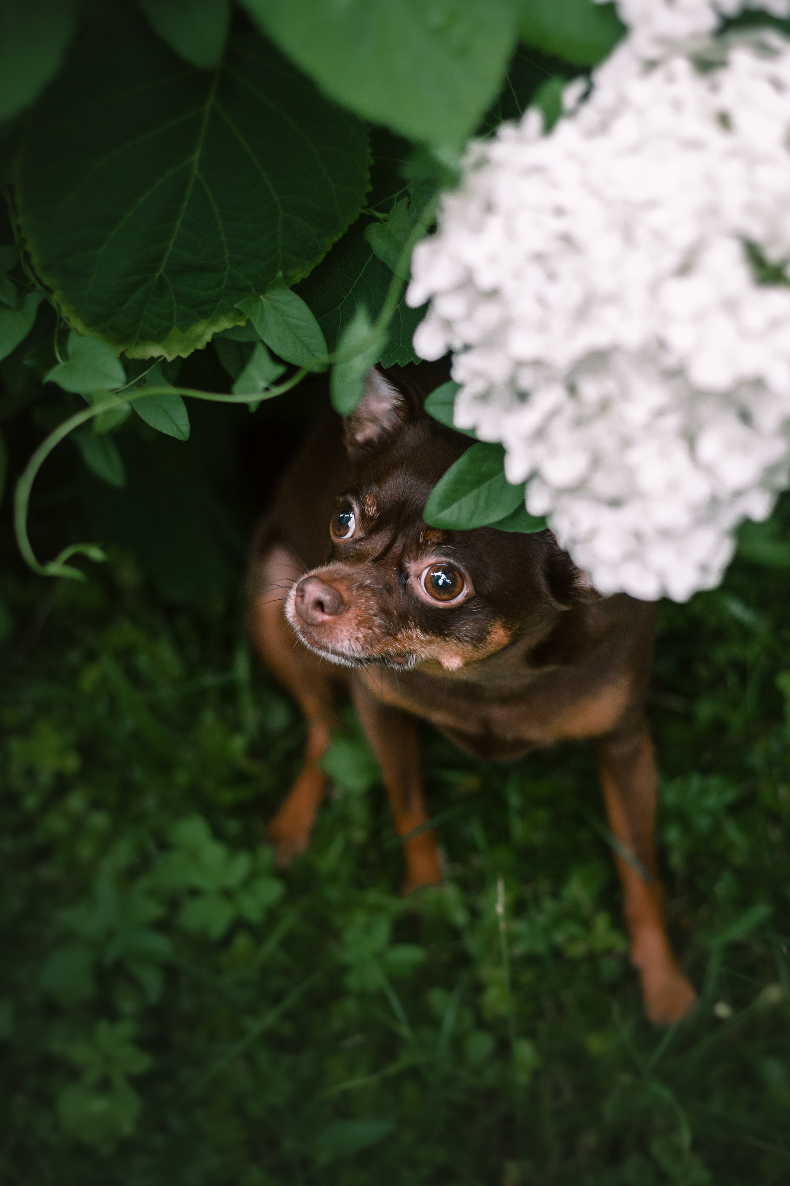 Юля и Леонид. Фотограф-анималист Татьяна Степанова
