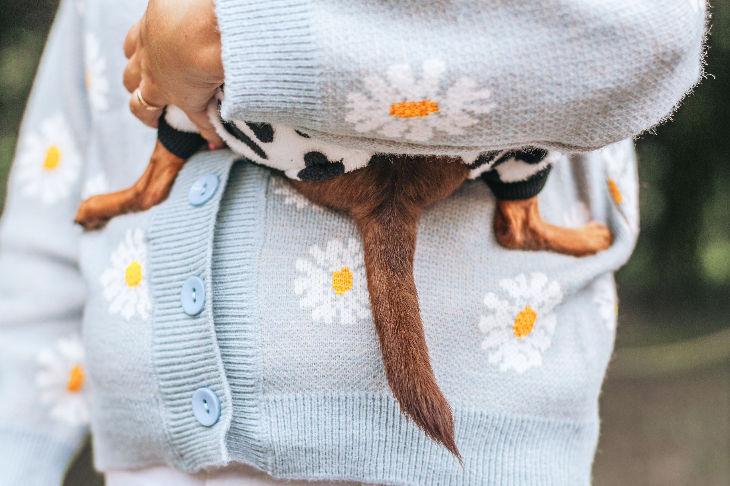 Юля и Леонид. Фотограф-анималист Татьяна Степанова