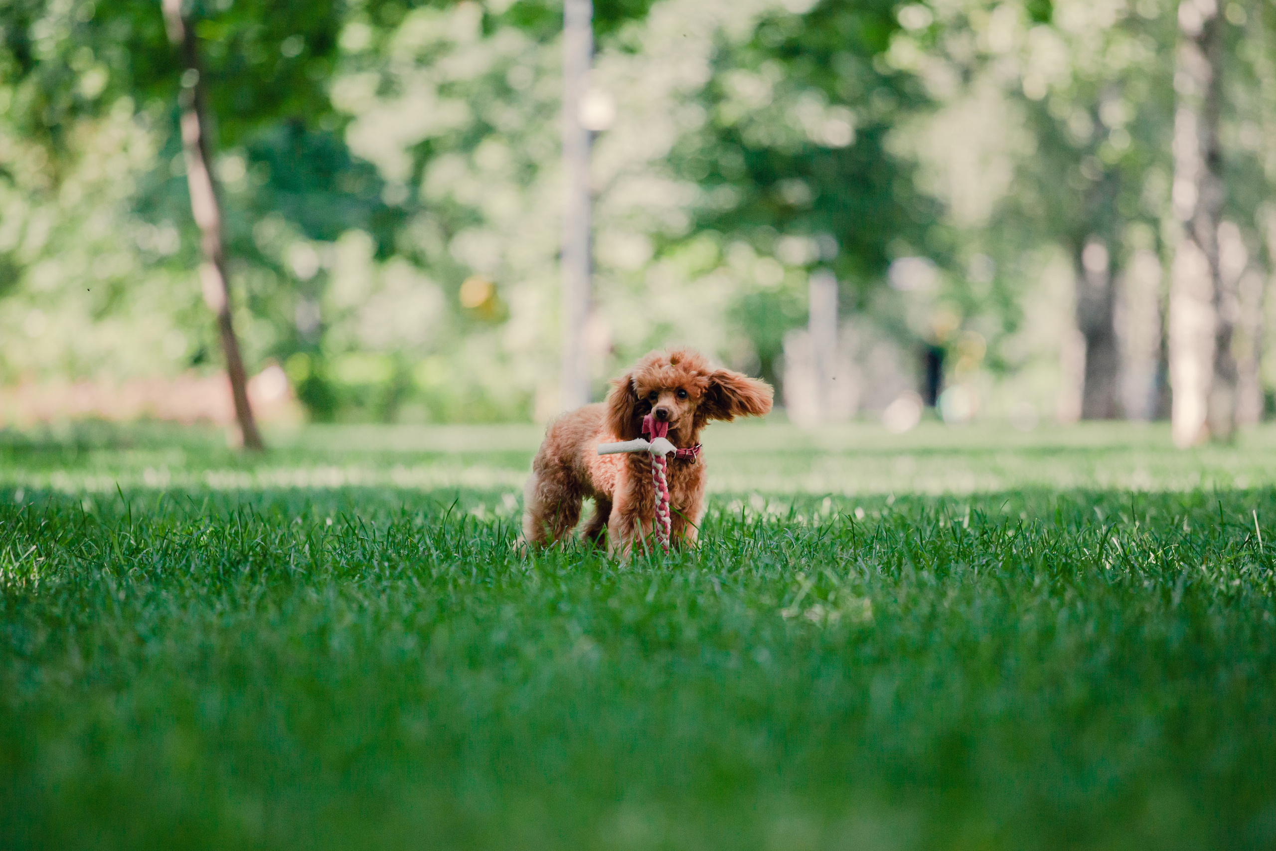 Оля и Ася. Фотограф-анималист Татьяна Степанова