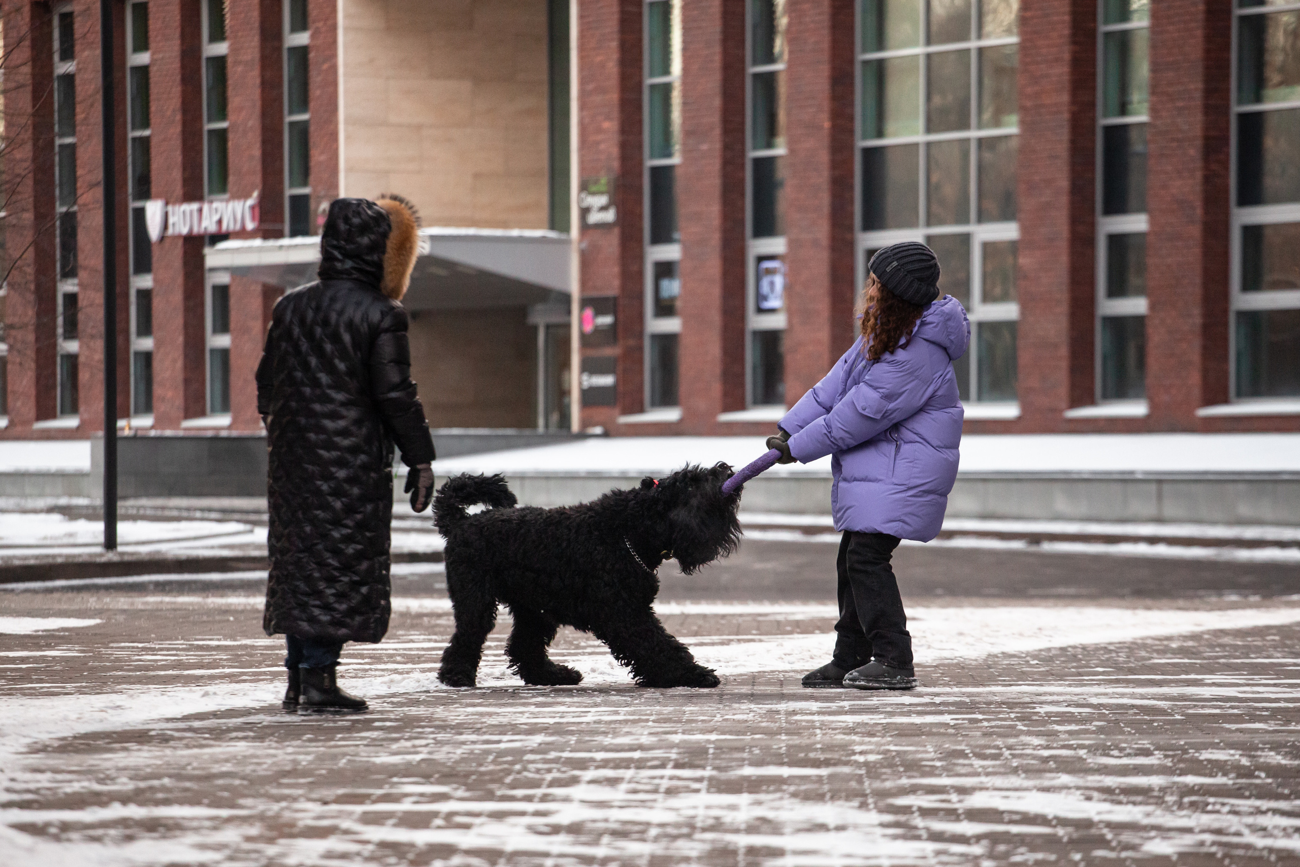 Фотопрогулка завод Арма. Фотограф-анималист Татьяна Степанова
