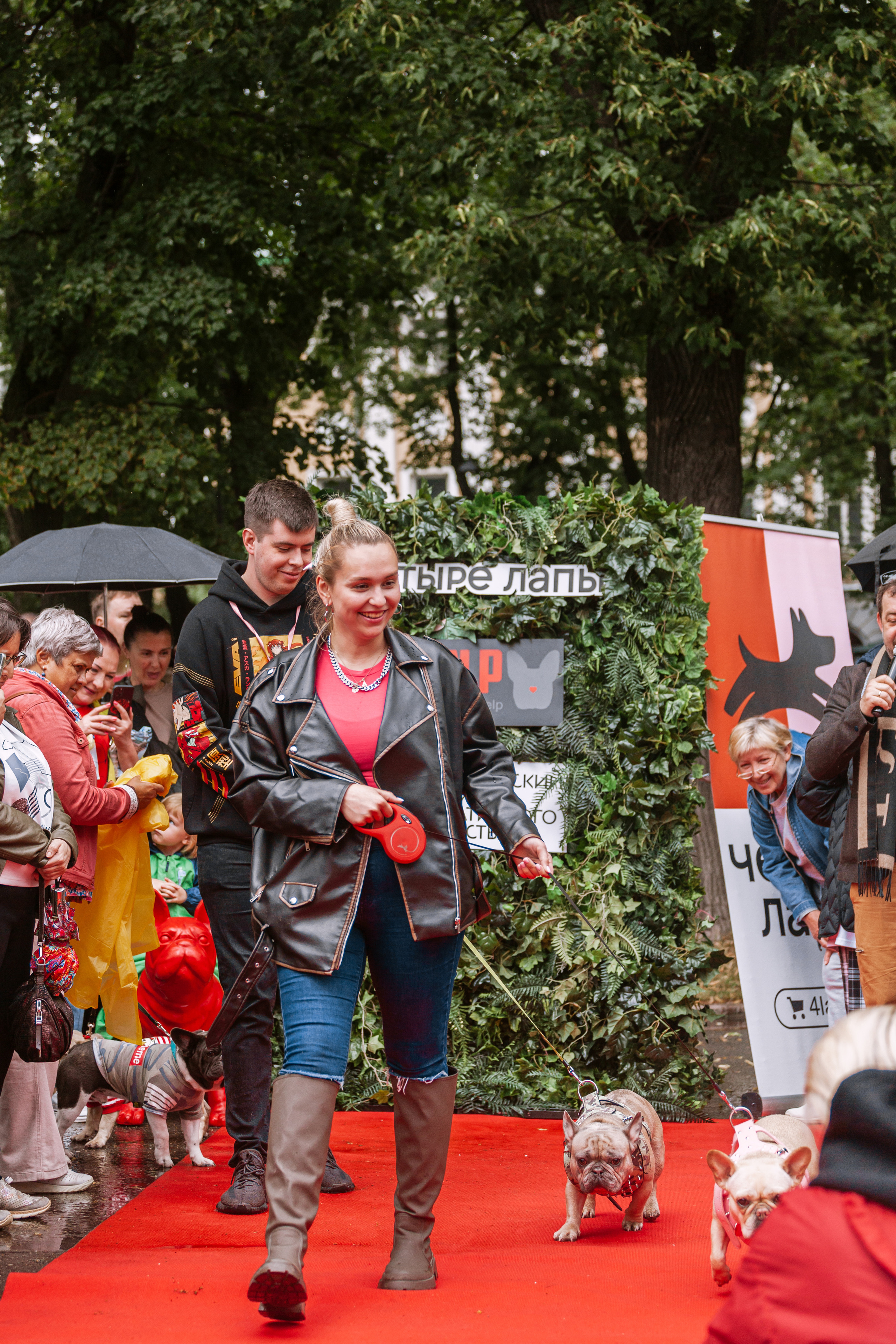 Парад французских бульдогов 15.07.2023. Фотограф-анималист Татьяна Степанова