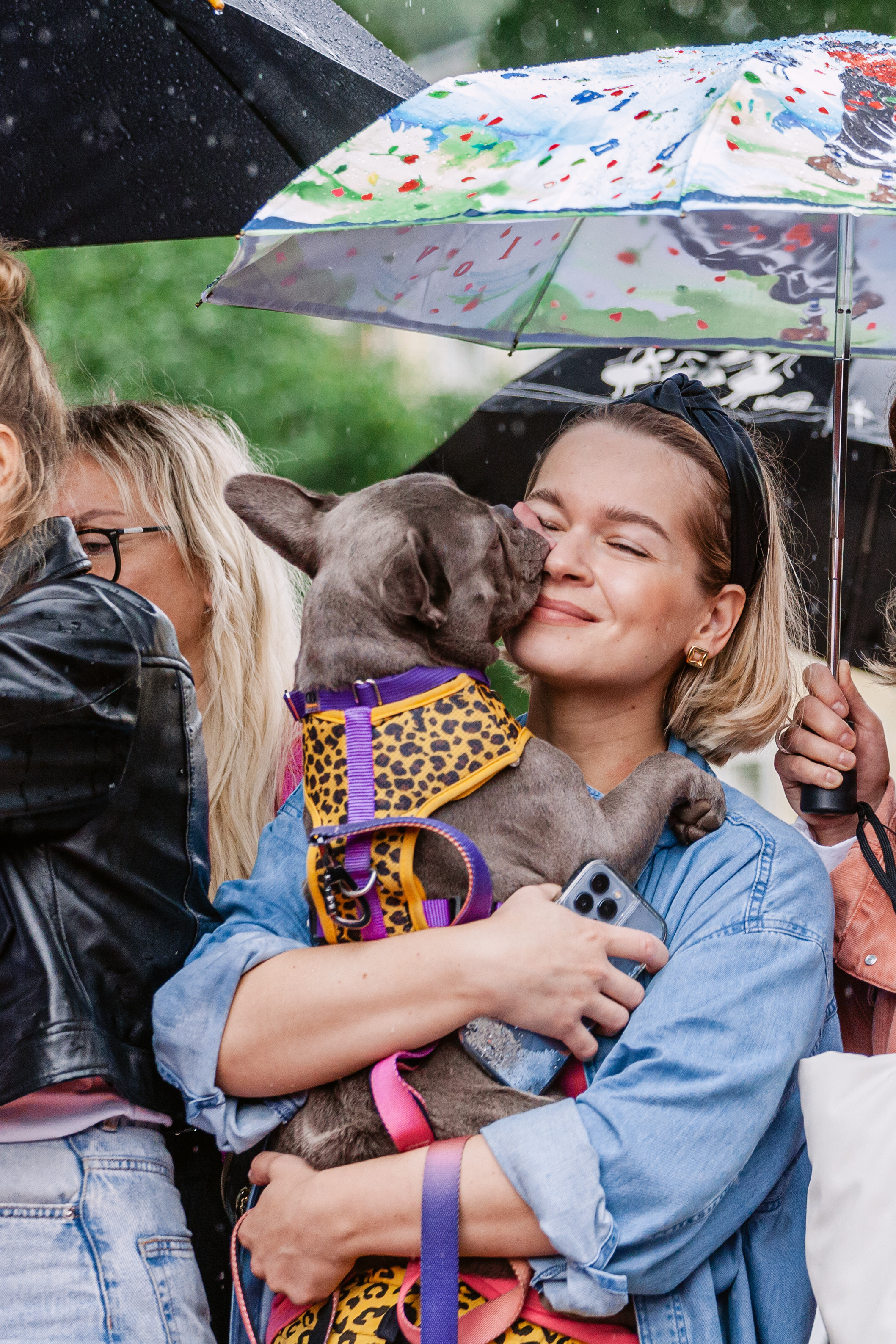 Парад французских бульдогов 15.07.2023. Фотограф-анималист Татьяна Степанова