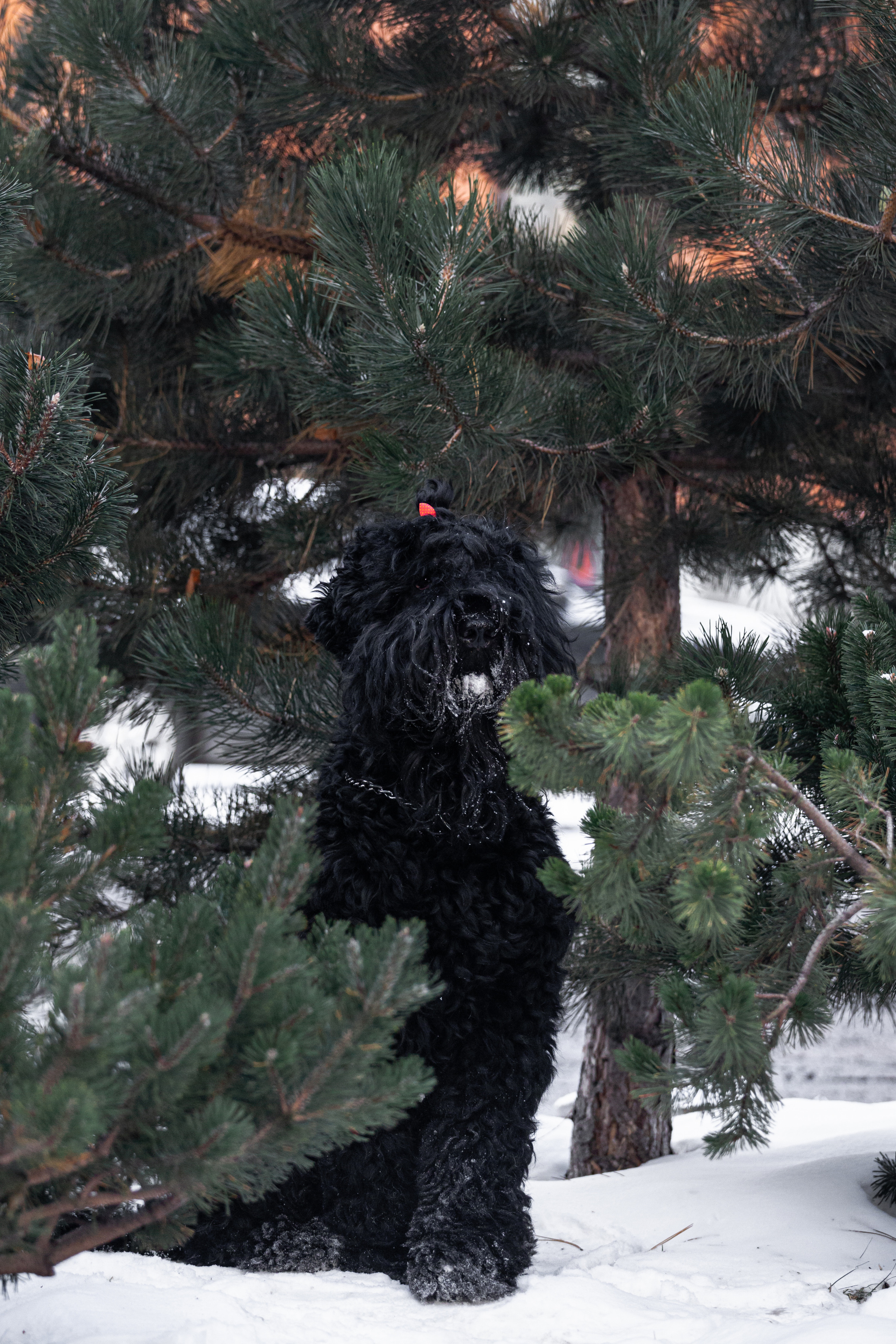 Фотопрогулка завод Арма. Фотограф-анималист Татьяна Степанова