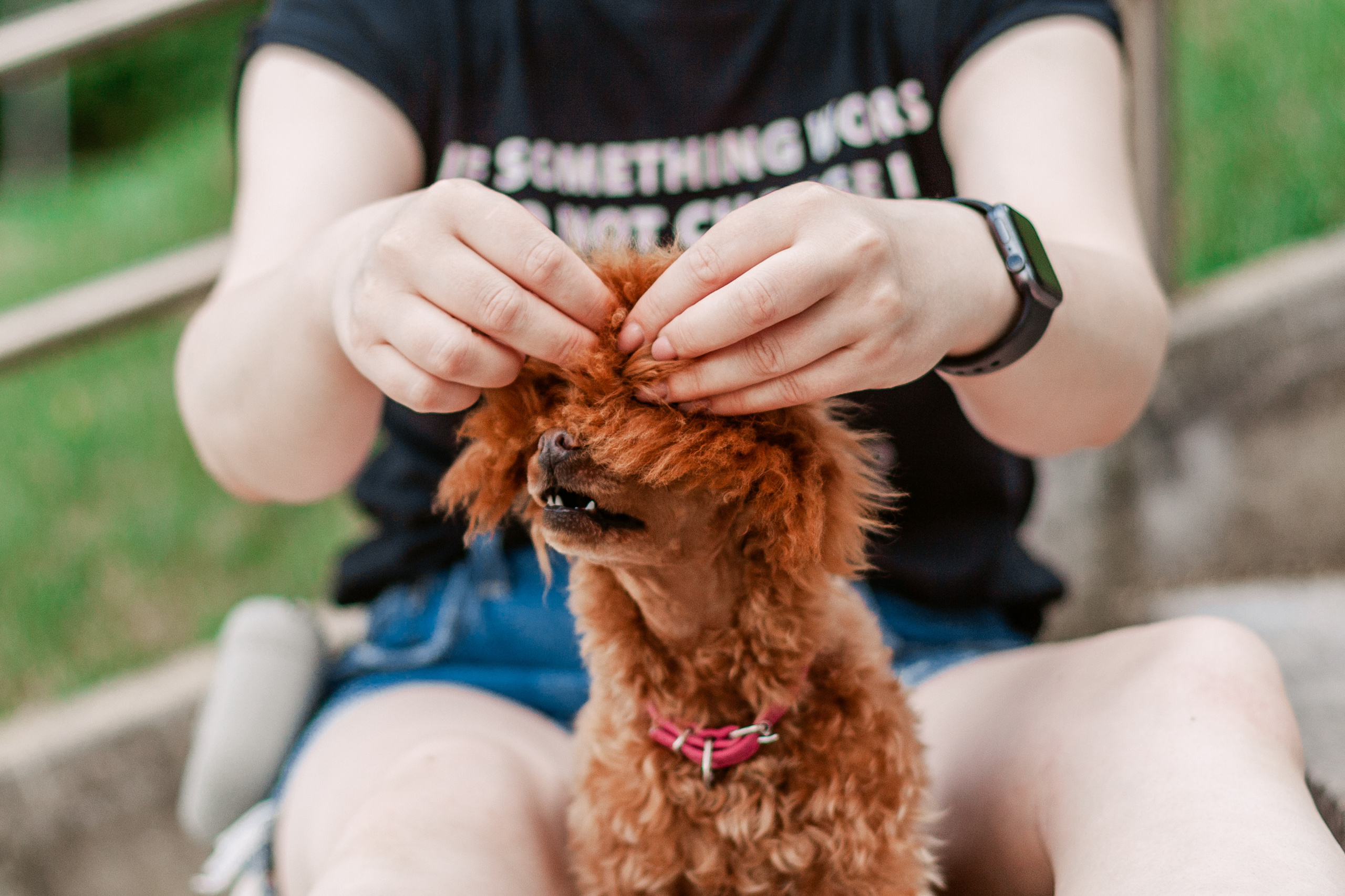 Оля и Ася. Фотограф-анималист Татьяна Степанова