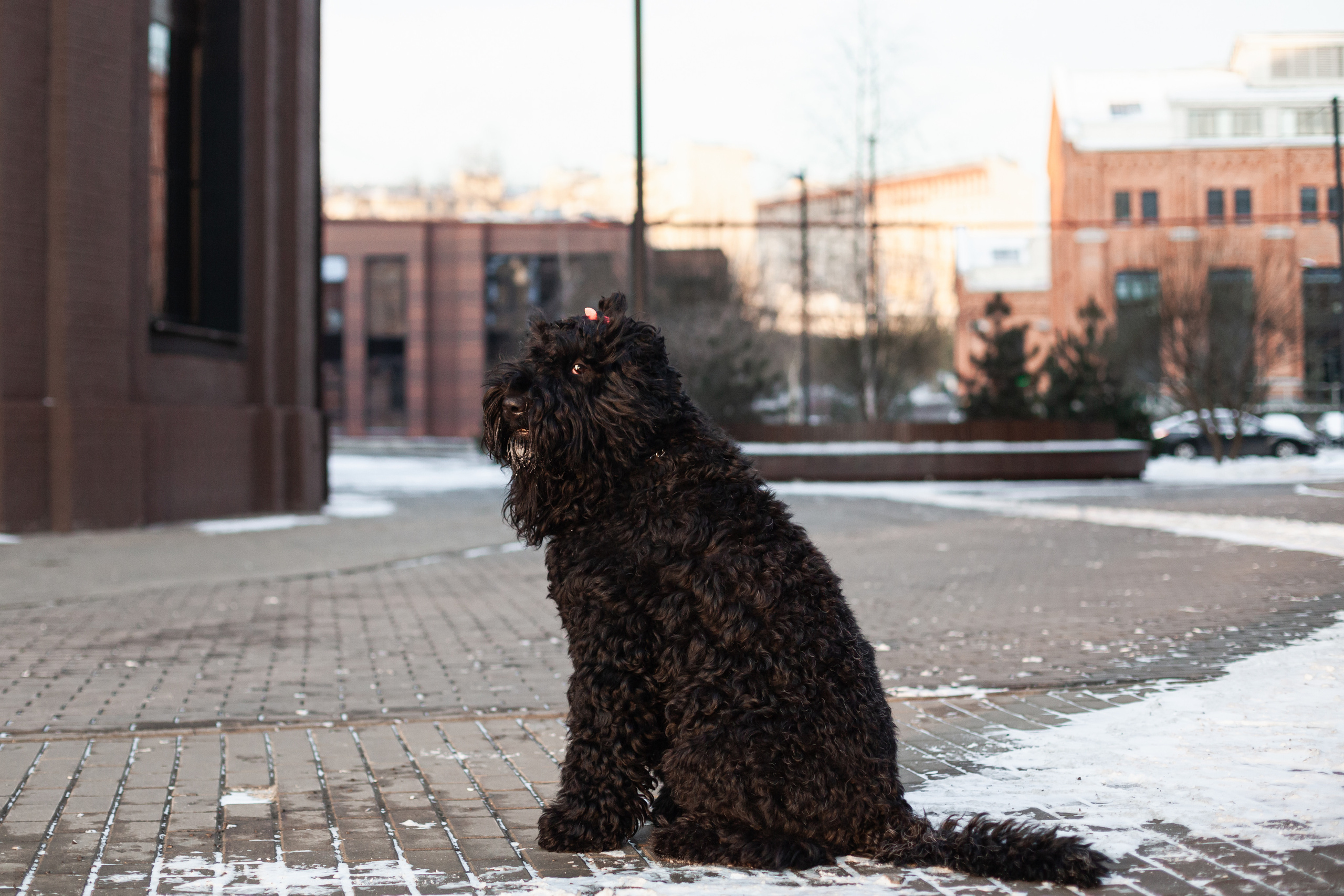 Фотопрогулка завод Арма. Фотограф-анималист Татьяна Степанова