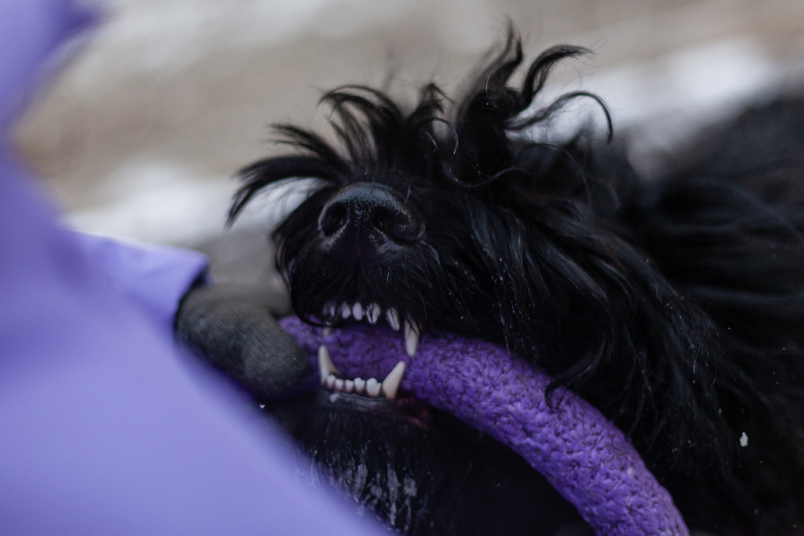 Фотопрогулка завод Арма. Фотограф-анималист Татьяна Степанова