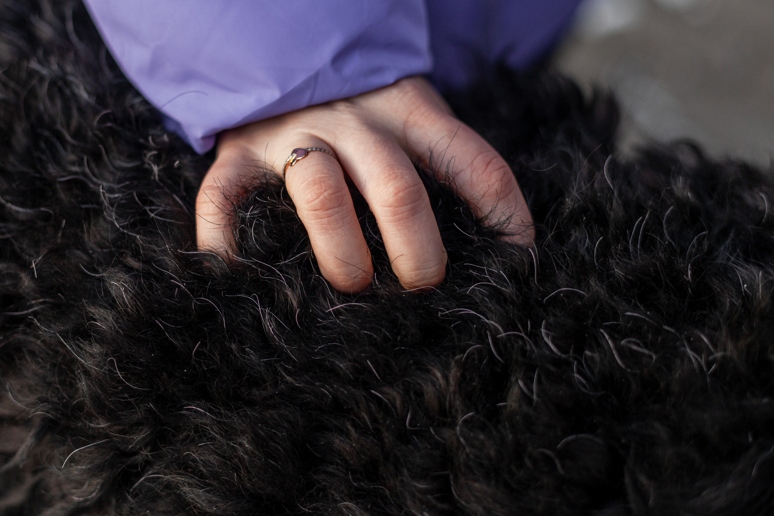 Фотопрогулка завод Арма. Фотограф-анималист Татьяна Степанова