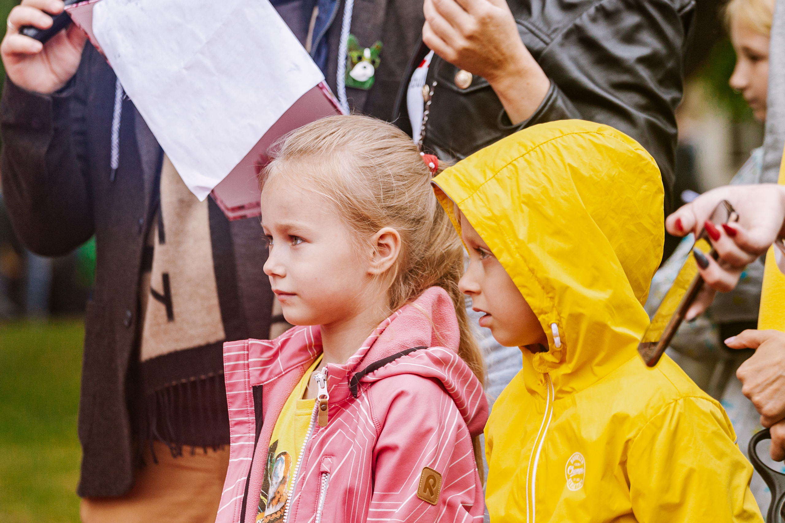 Парад французских бульдогов 15.07.2023. Фотограф-анималист Татьяна Степанова